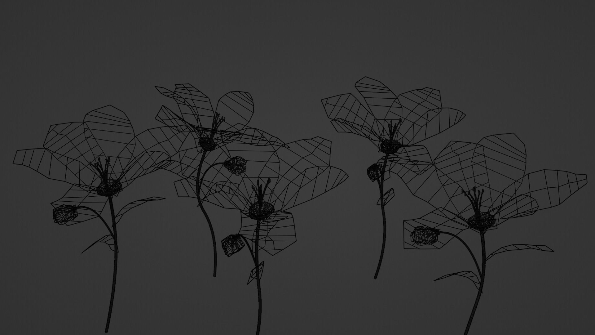 Lily Magnolia Flower Rigged and Animated Low-poly 3D model_7
