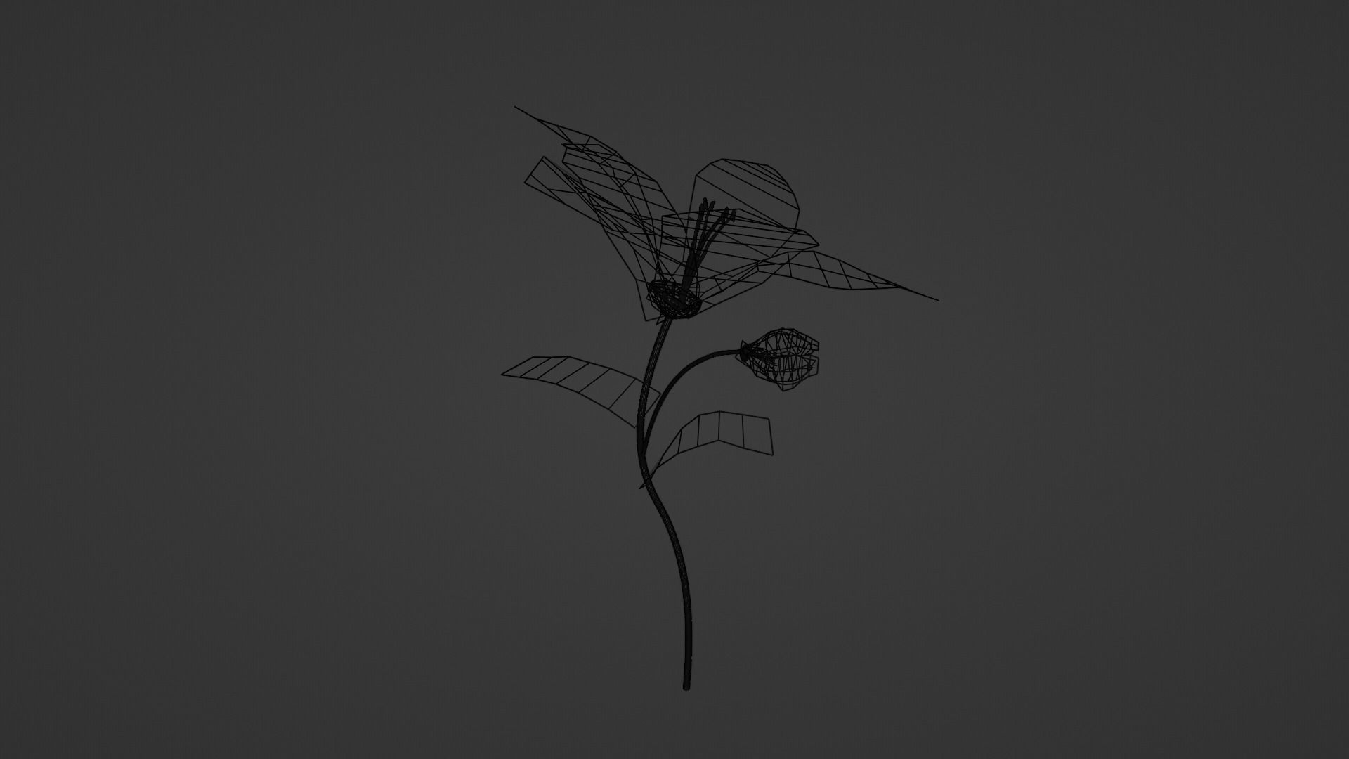 Lily Magnolia Flower Rigged and Animated Low-poly 3D model_5