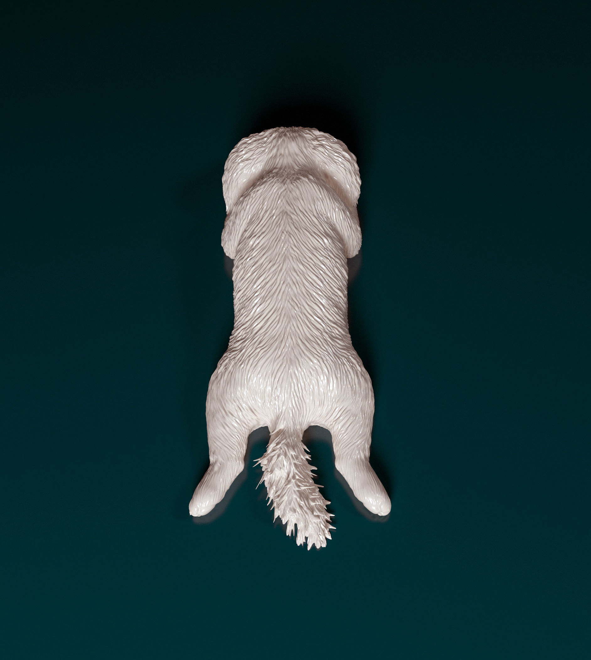 Shih Tzu 3D print model_5