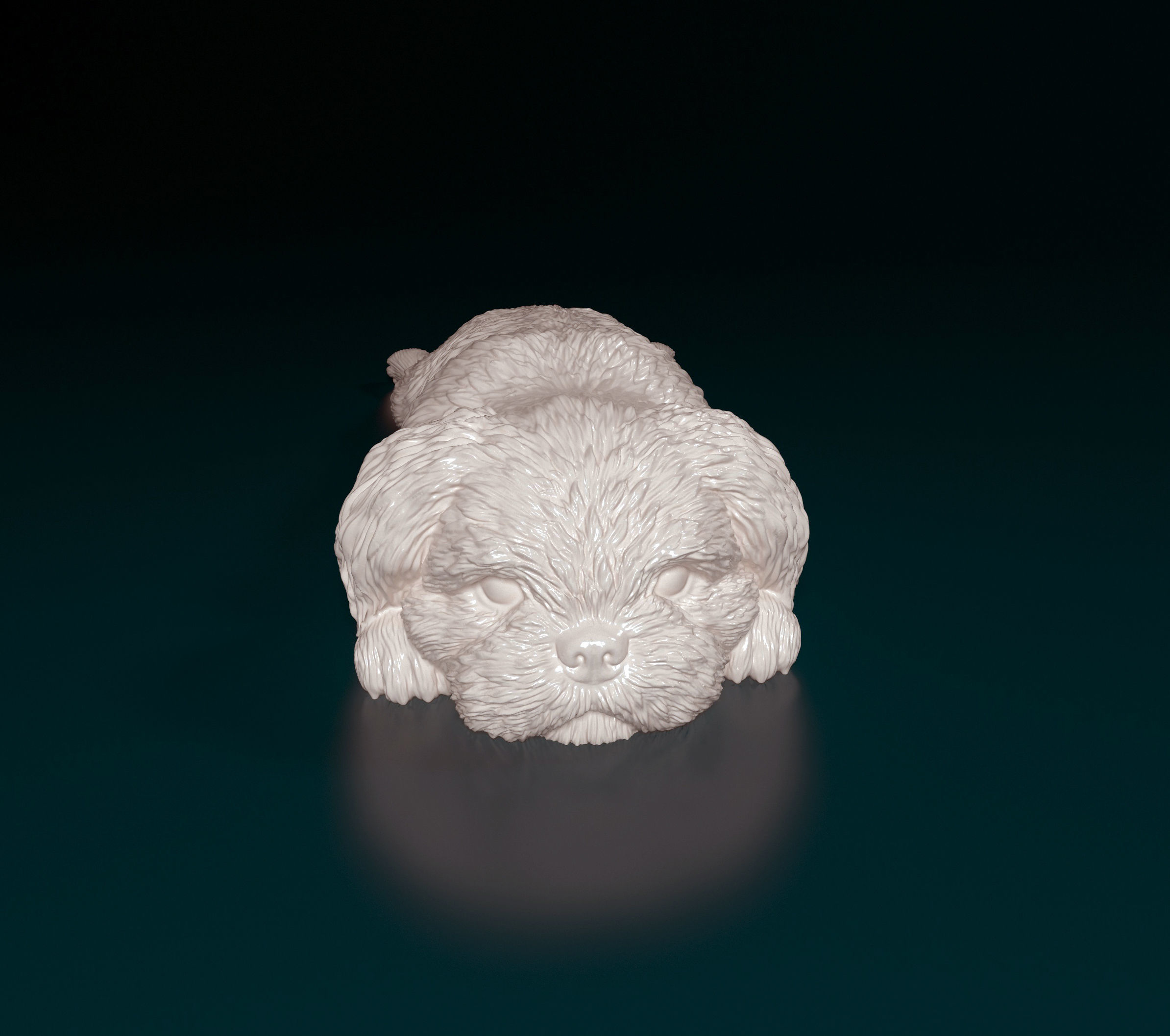 Shih Tzu 3D print model_1