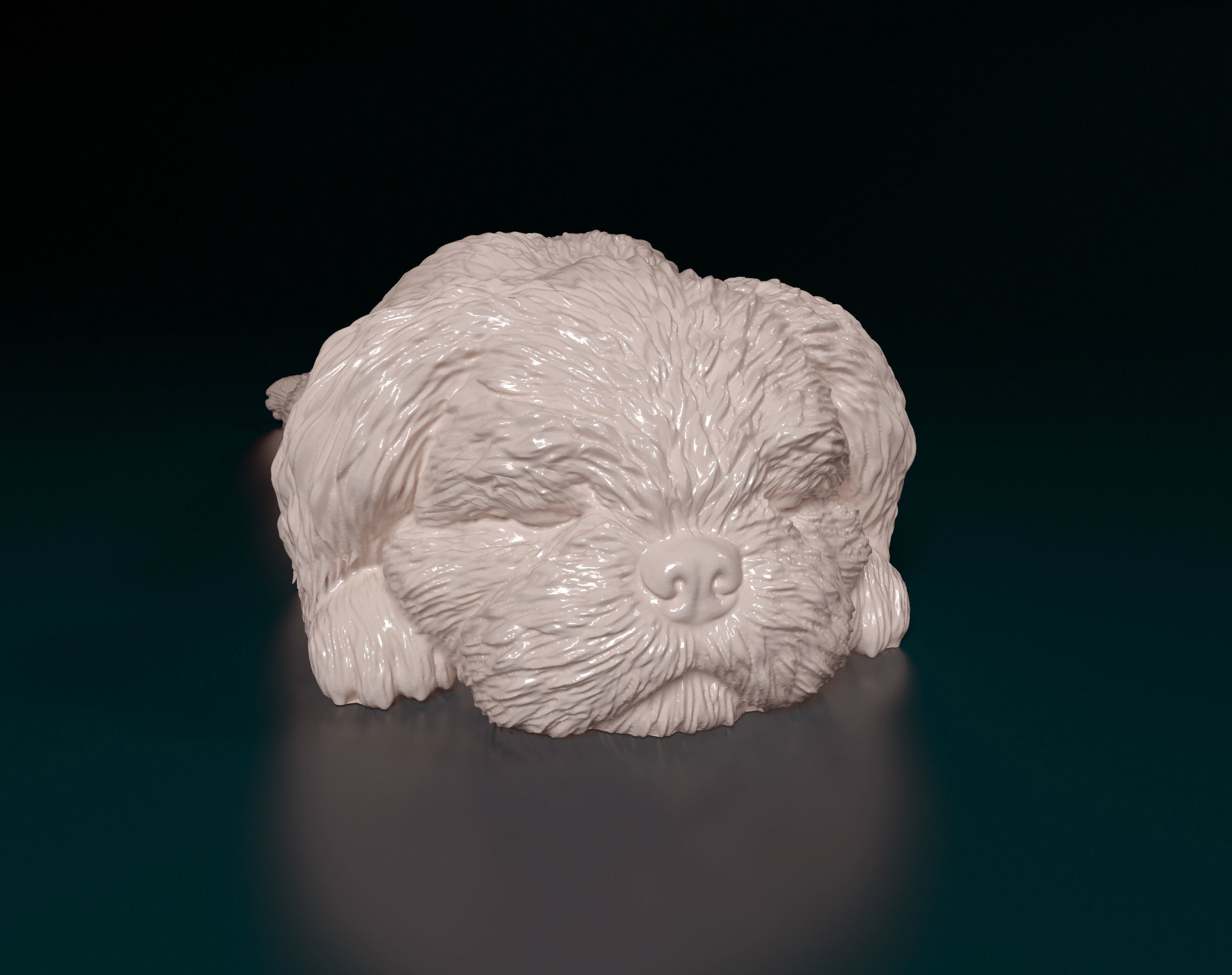 Shih Tzu 3D print model_8