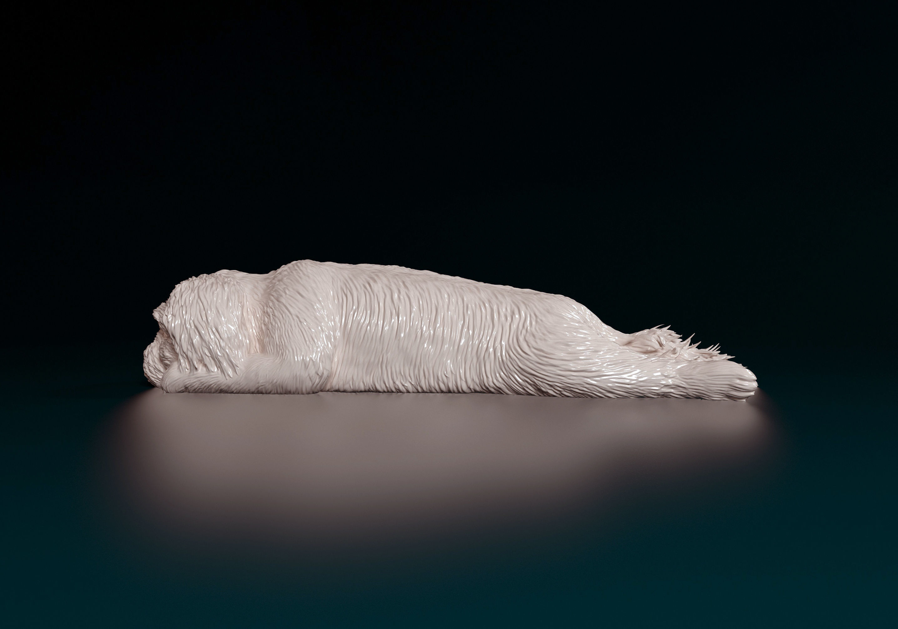 Shih Tzu 3D print model_7