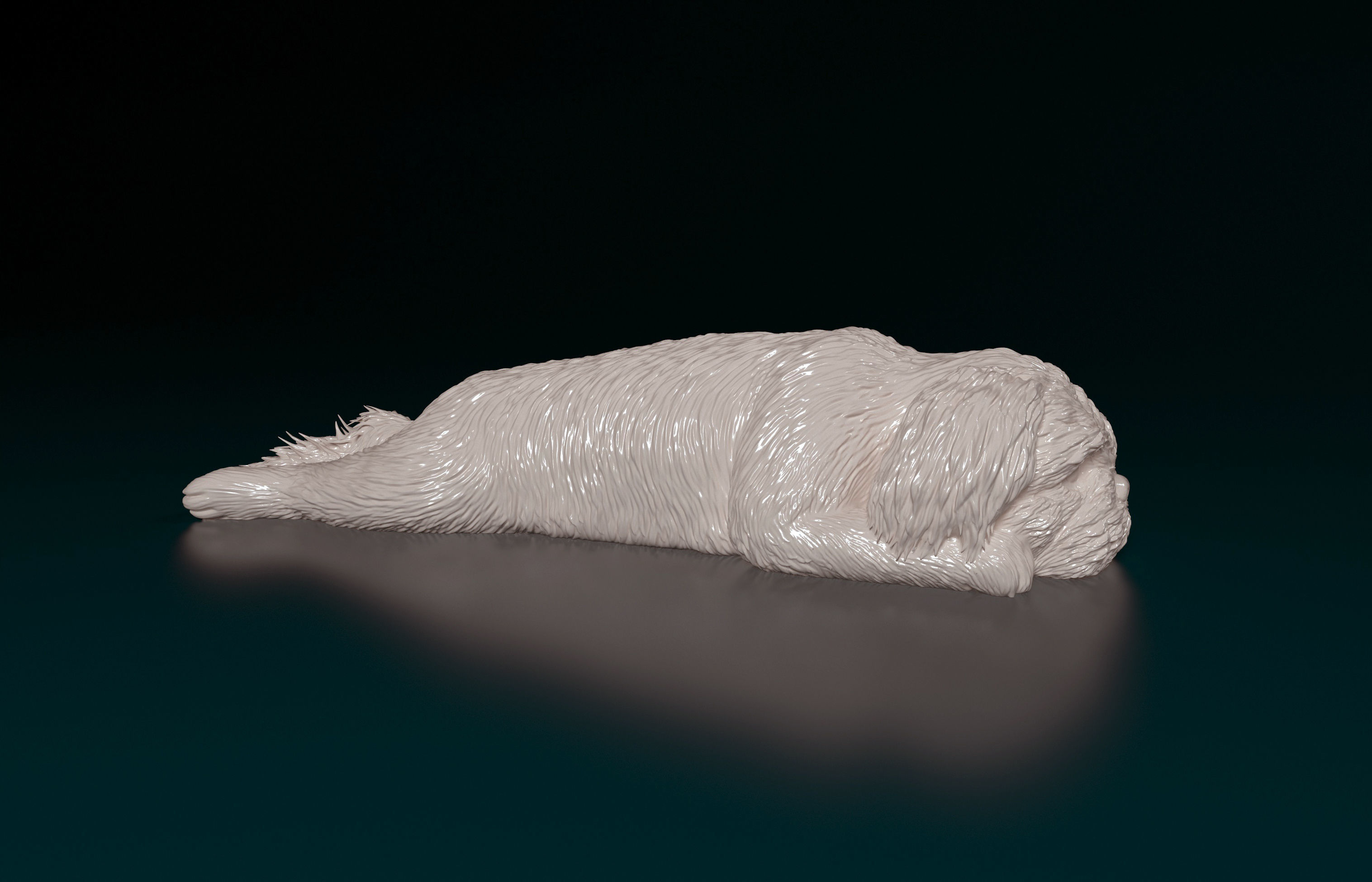 Shih Tzu 3D print model_3