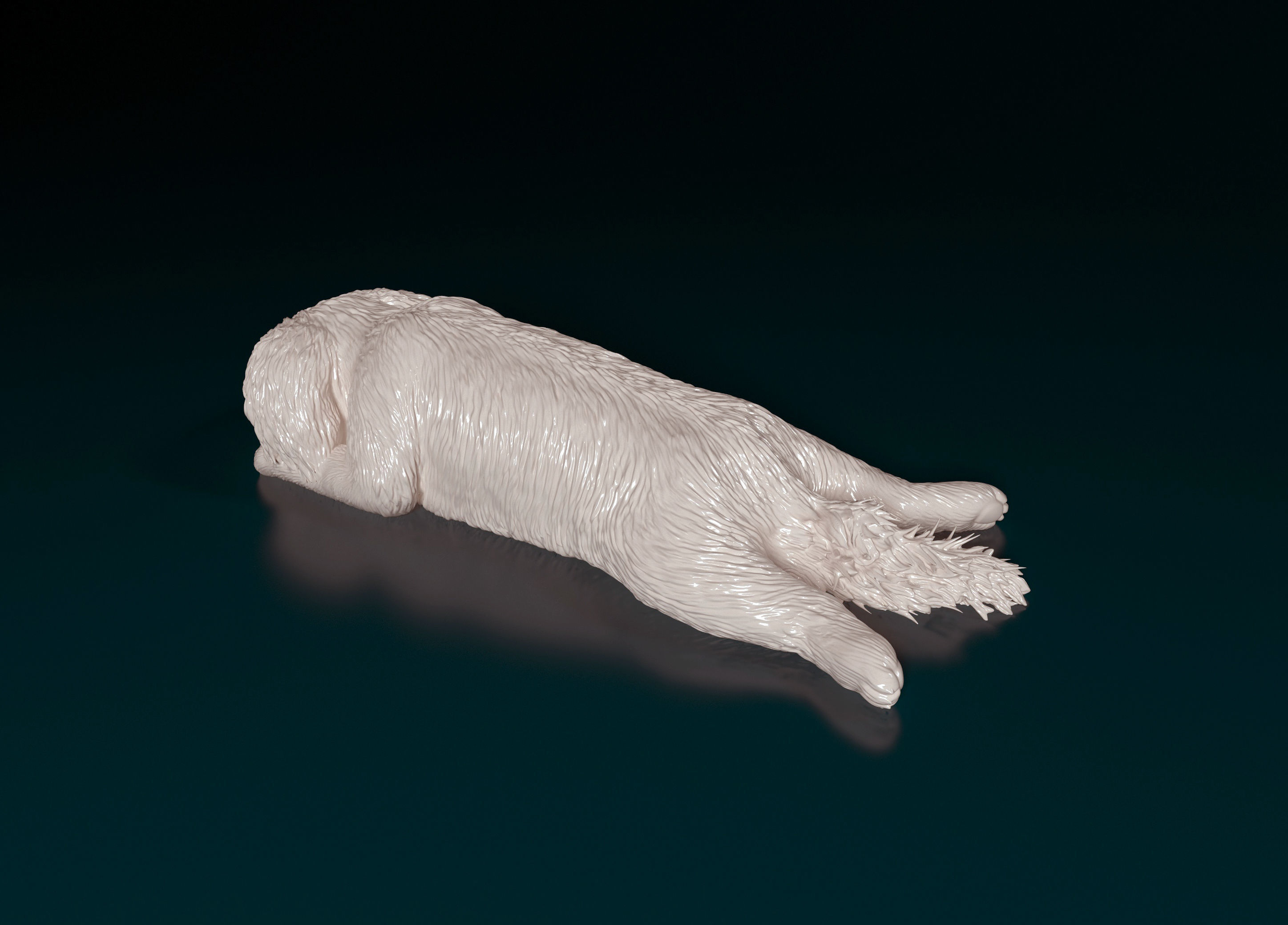 Shih Tzu 3D print model_6