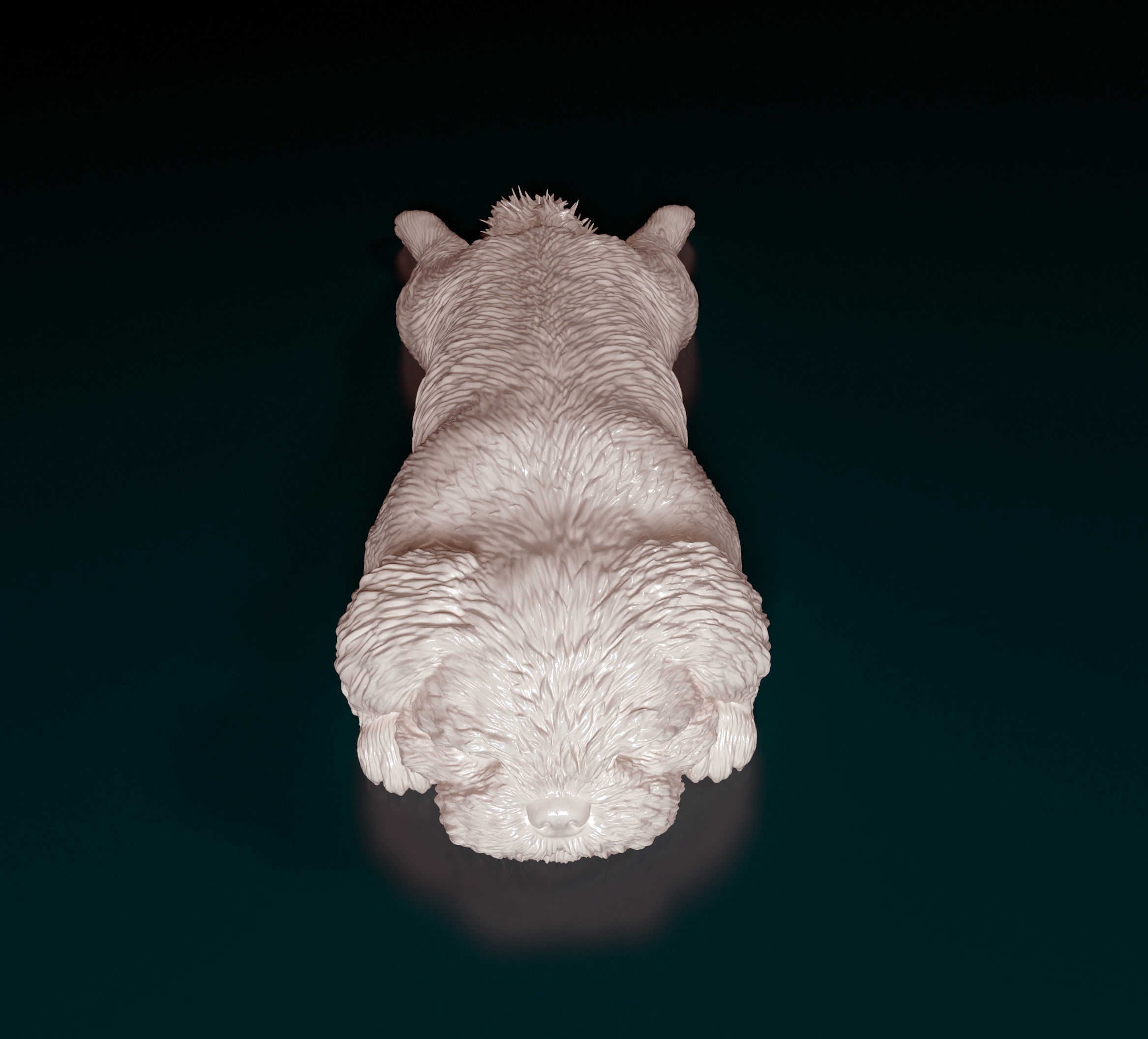 Shih Tzu 3D print model_2