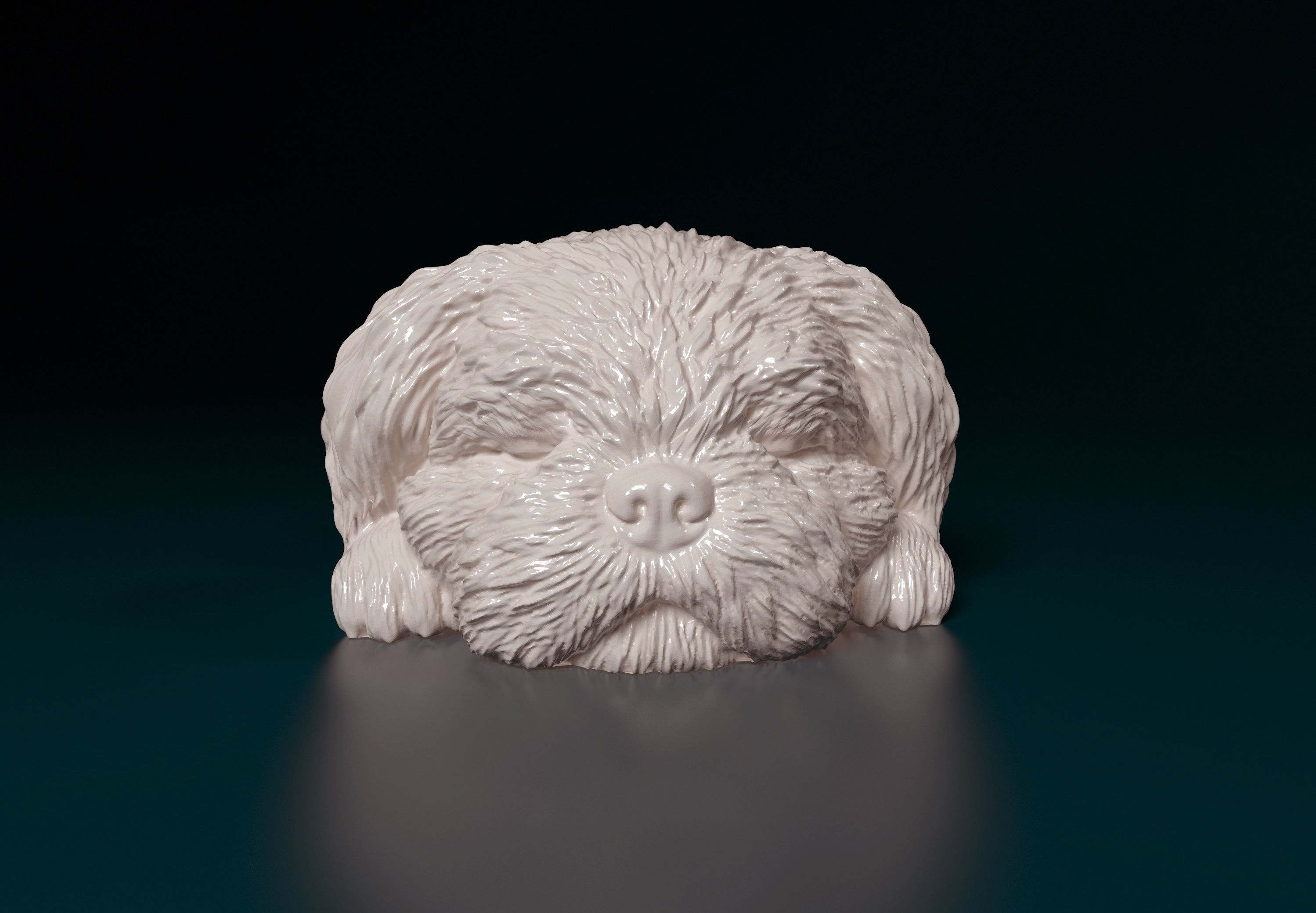 Shih Tzu 3D print model_10