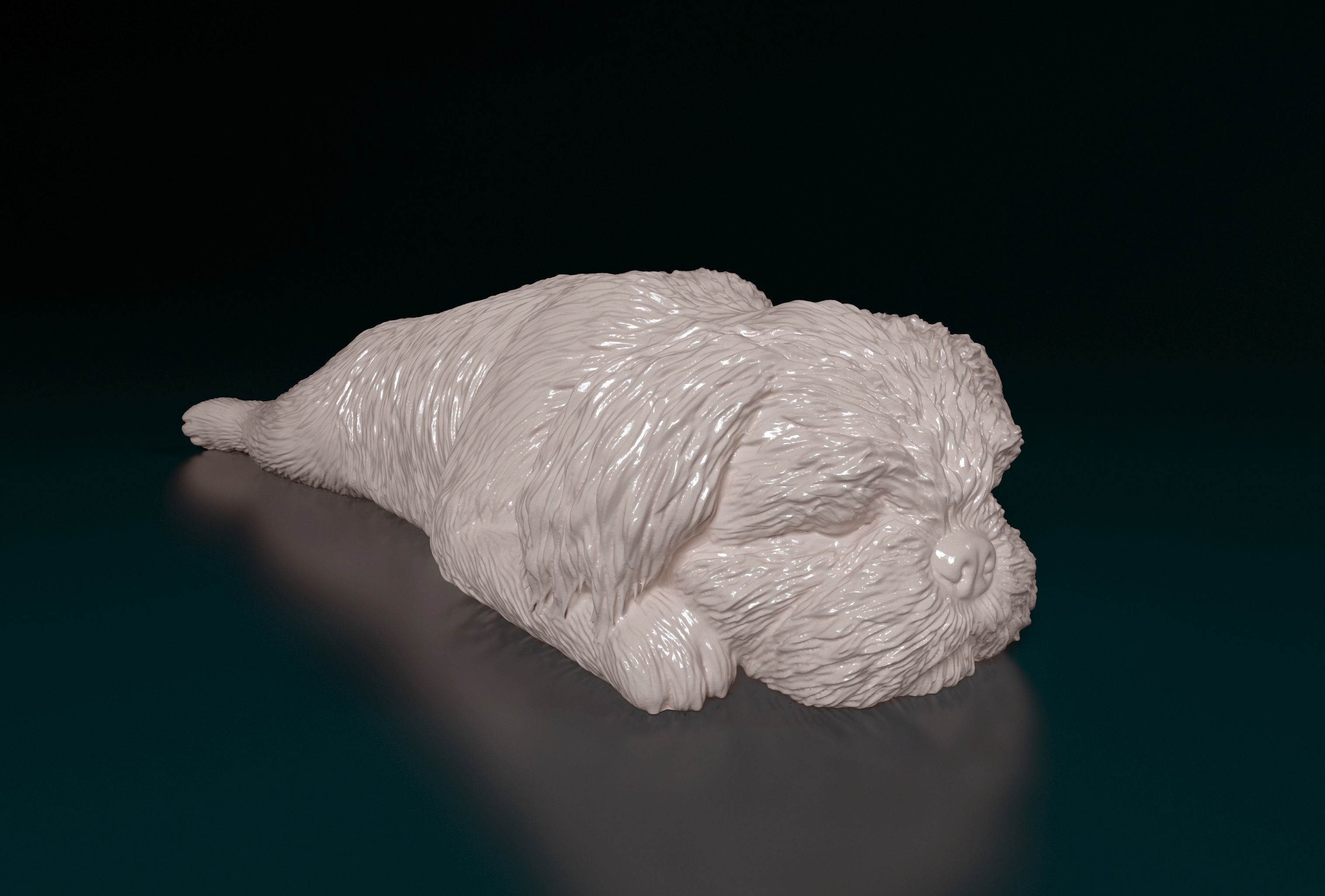 Shih Tzu 3D print model_9