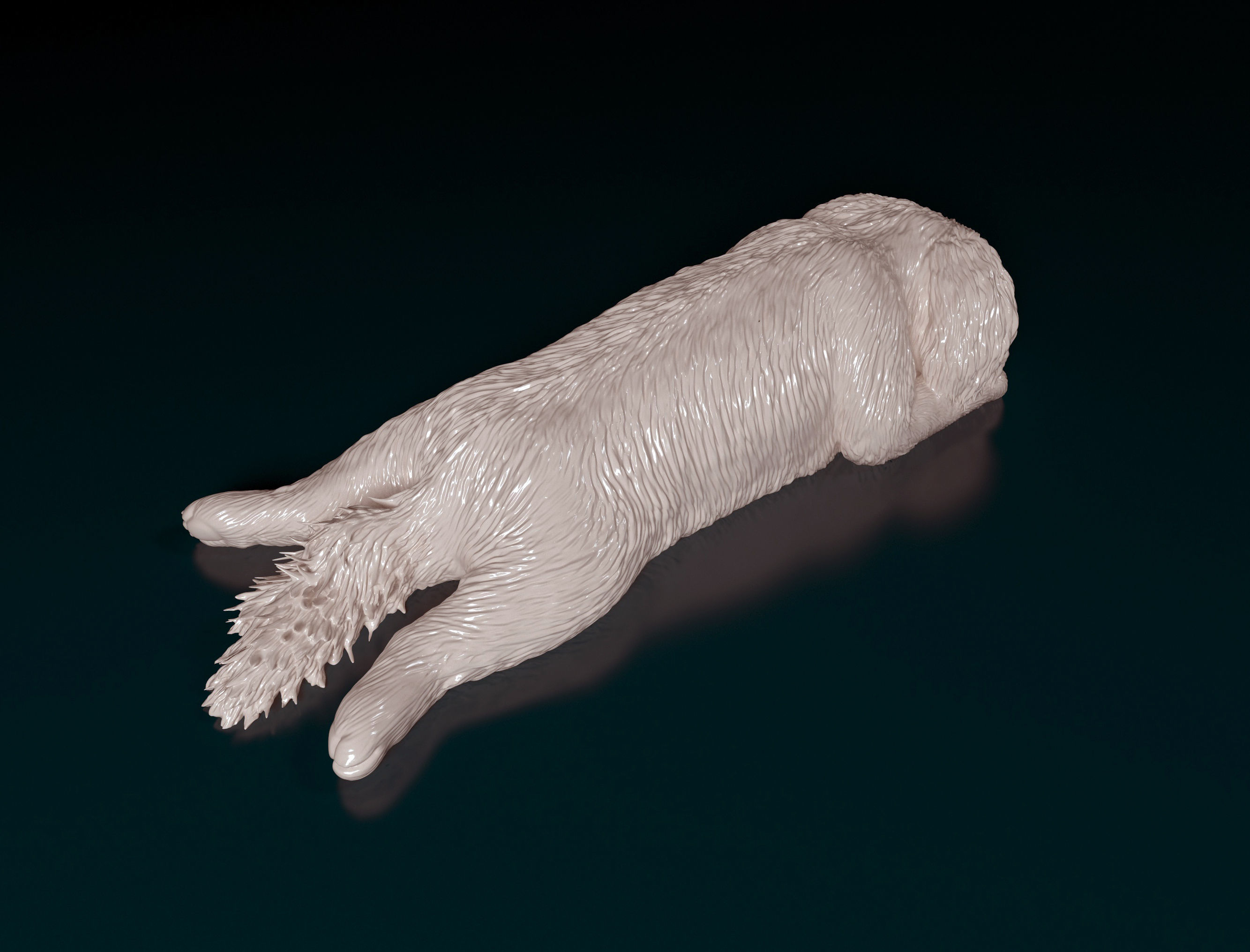 Shih Tzu 3D print model_4