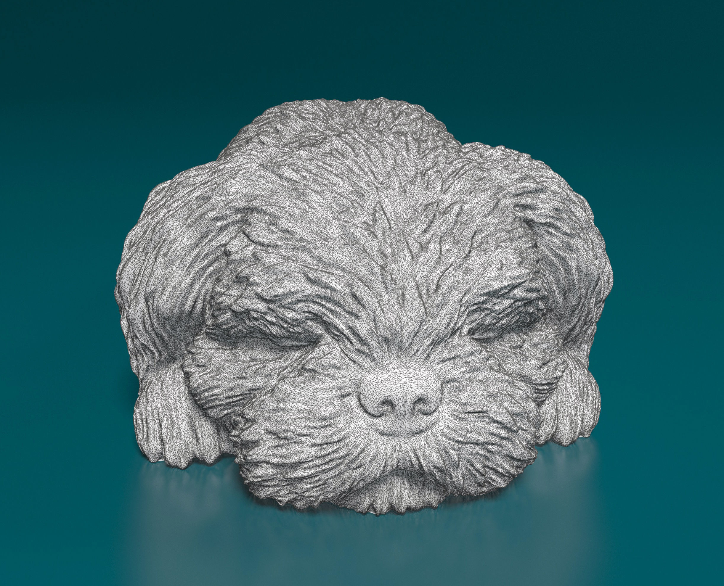 Shih Tzu 3D print model_11