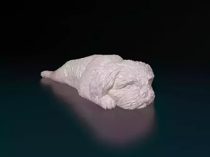 Shih Tzu 3D print model
