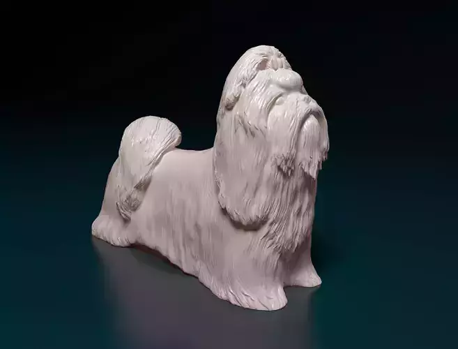 Shih Tzu 3D print model
