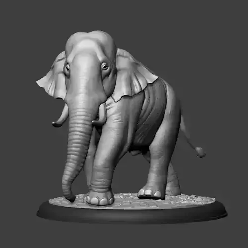 Elephant Asian  3D print model