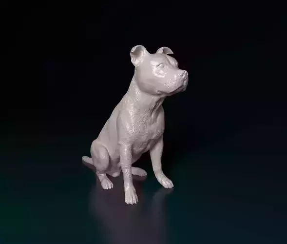 Staffordshire bull terrier sitting 3D print model