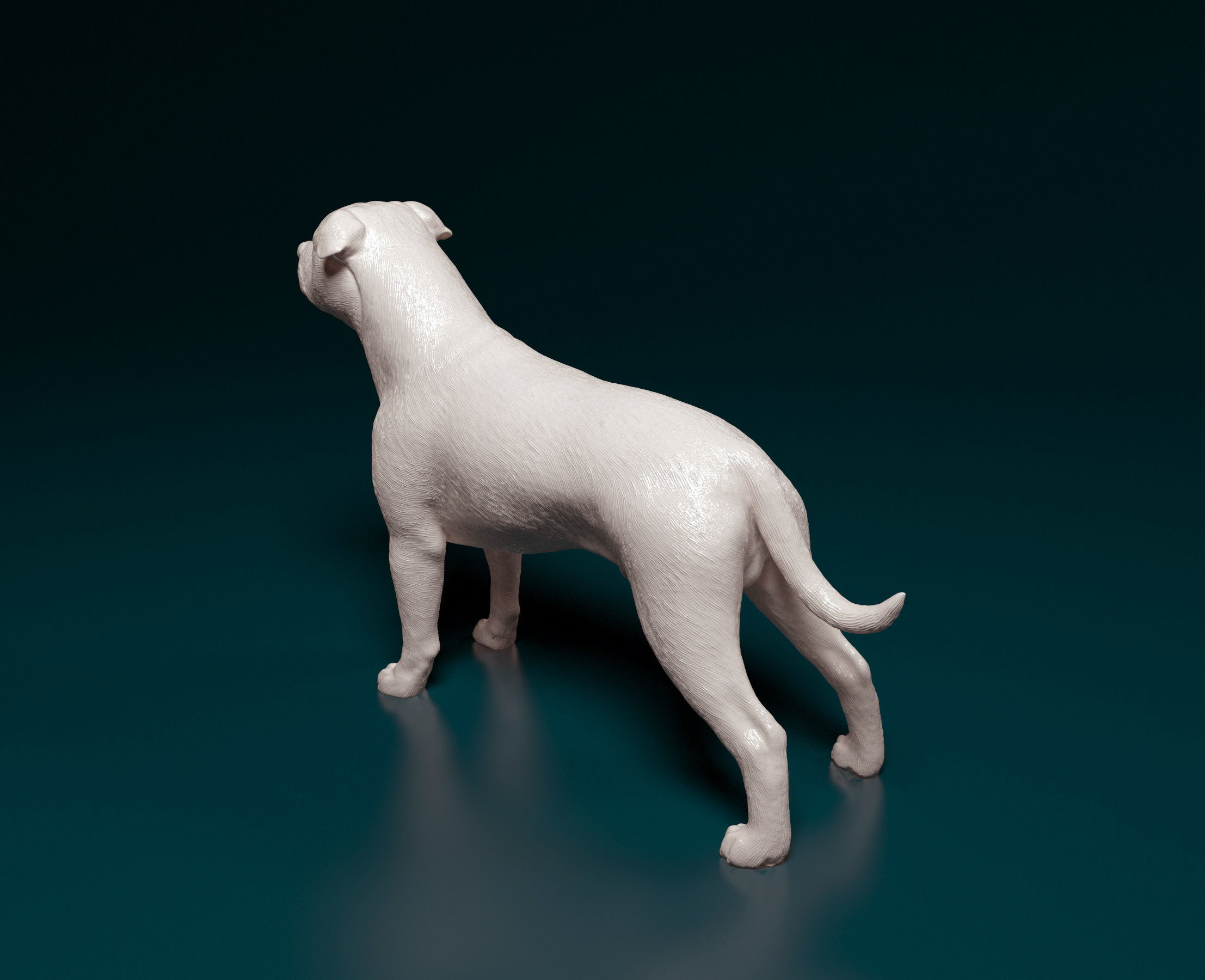 Staffordshire bull terrier 1 3D print model_3