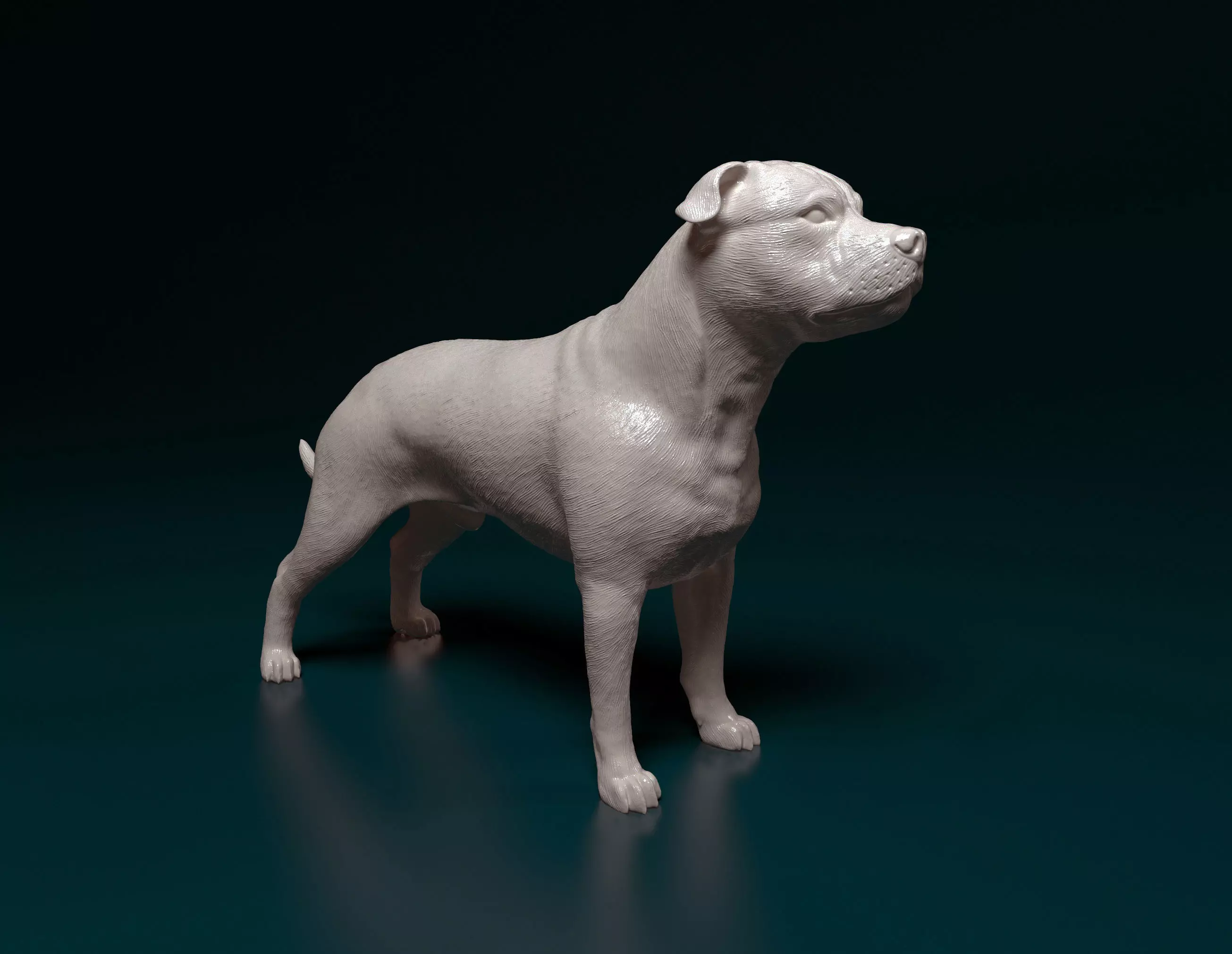 Staffordshire bull terrier 1 3D print model_0