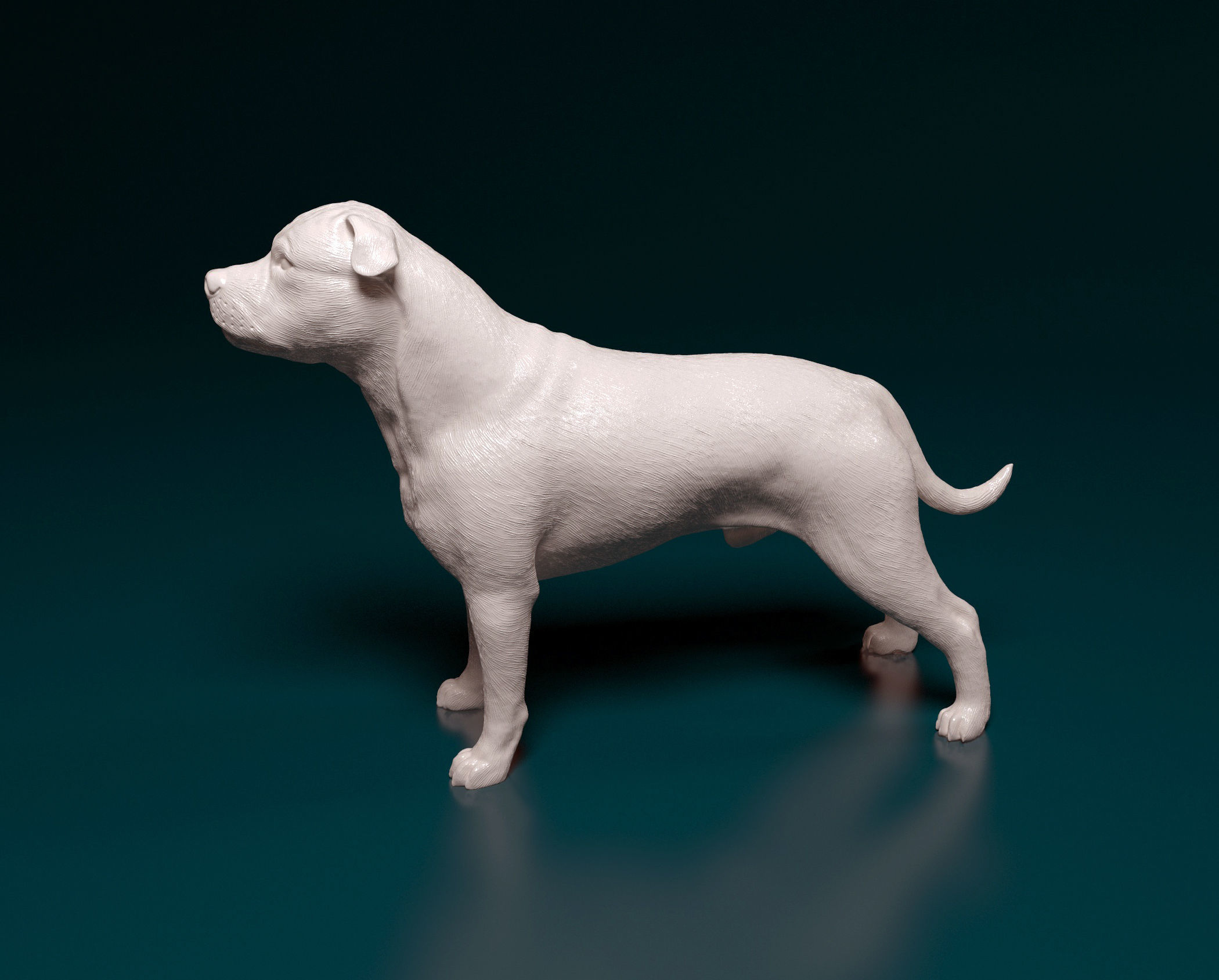 Staffordshire bull terrier 1 3D print model_4