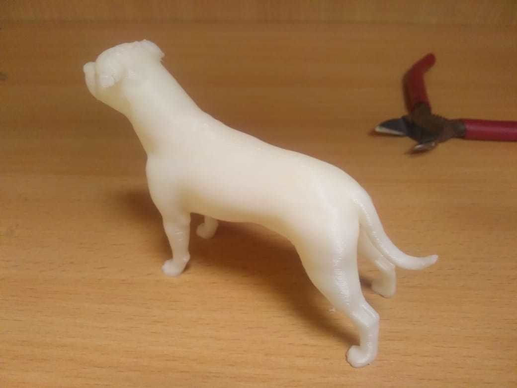 Staffordshire bull terrier 1 3D print model_10
