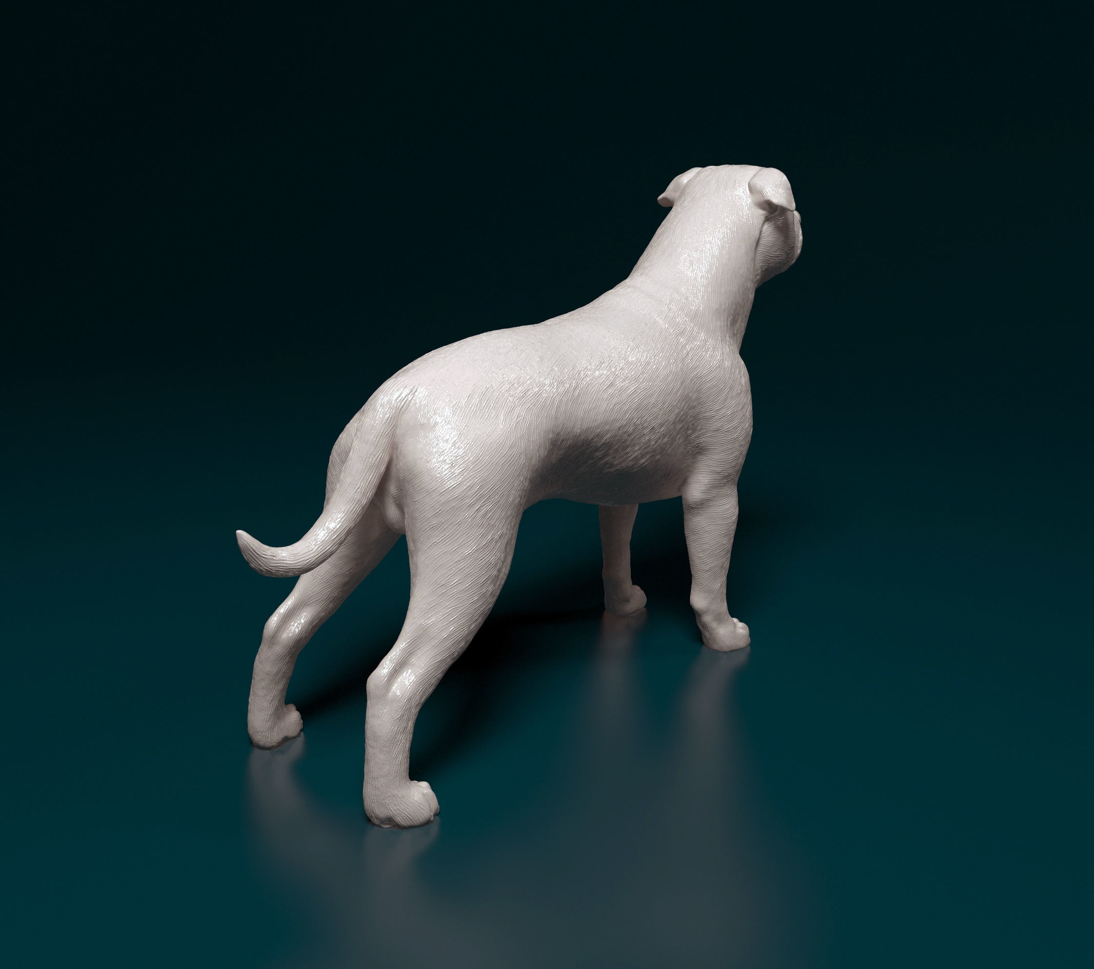 Staffordshire bull terrier 1 3D print model_2