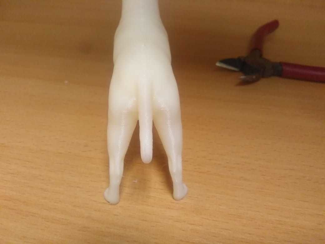 Staffordshire bull terrier 1 3D print model_13