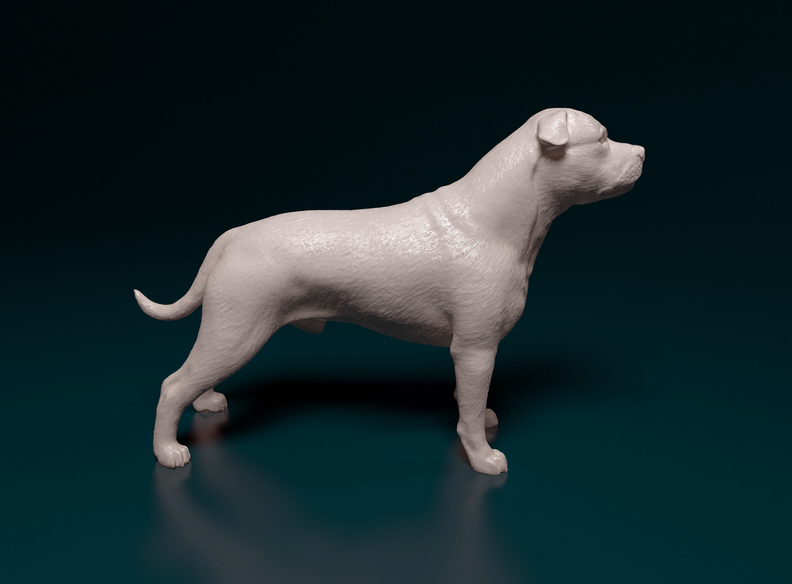 Staffordshire bull terrier 1 3D print model_1