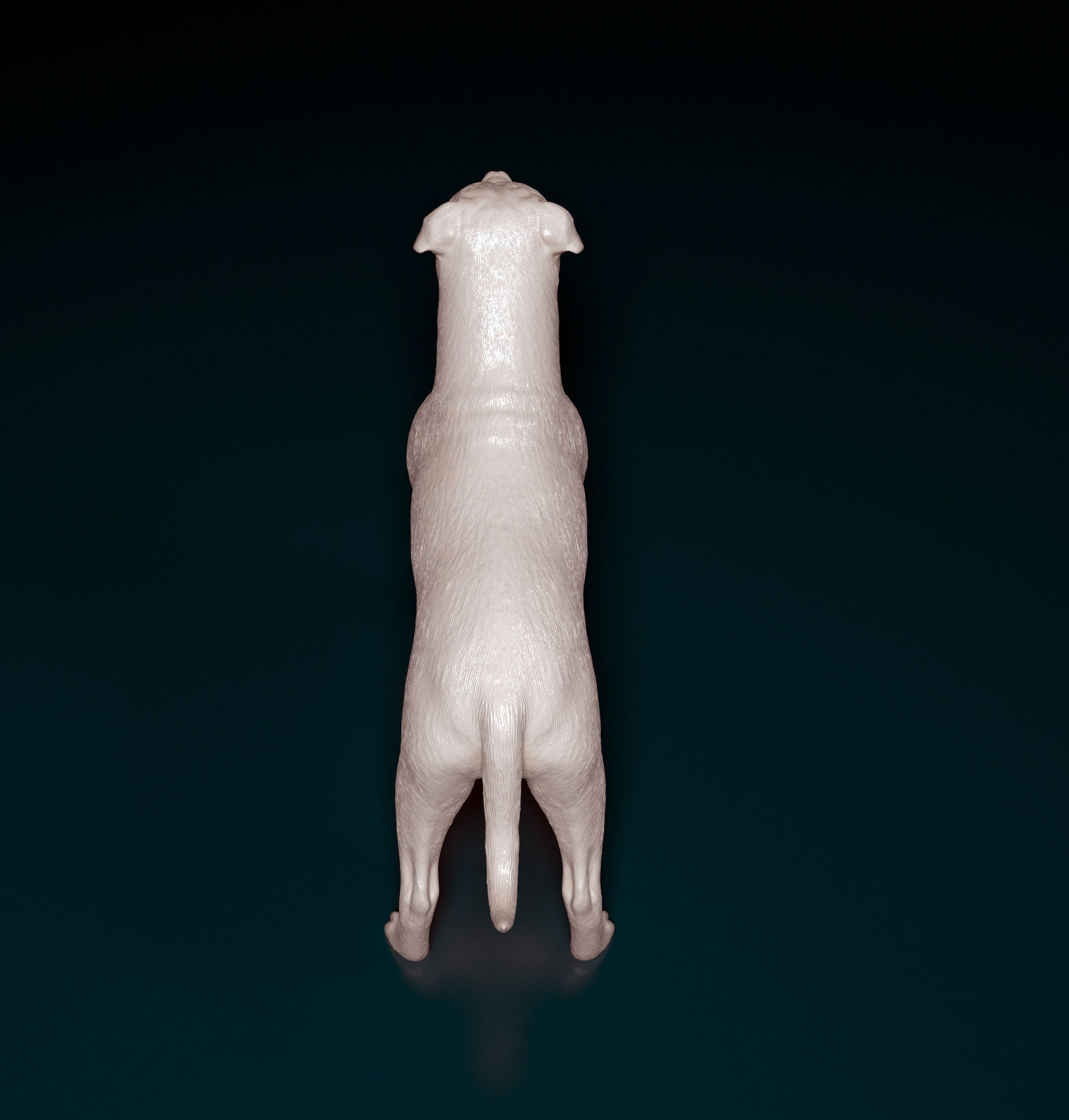 Staffordshire bull terrier 1 3D print model_6