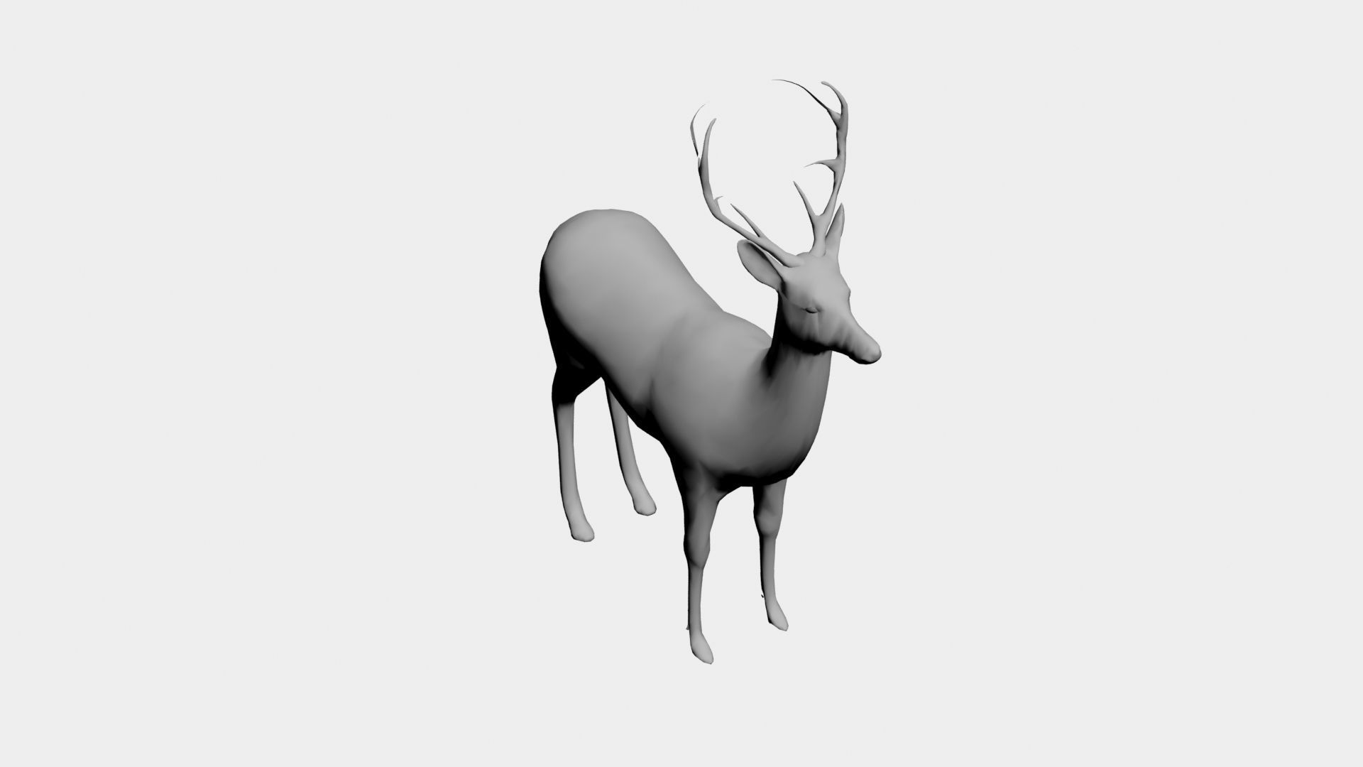 Deer-wild animals 3D model_4