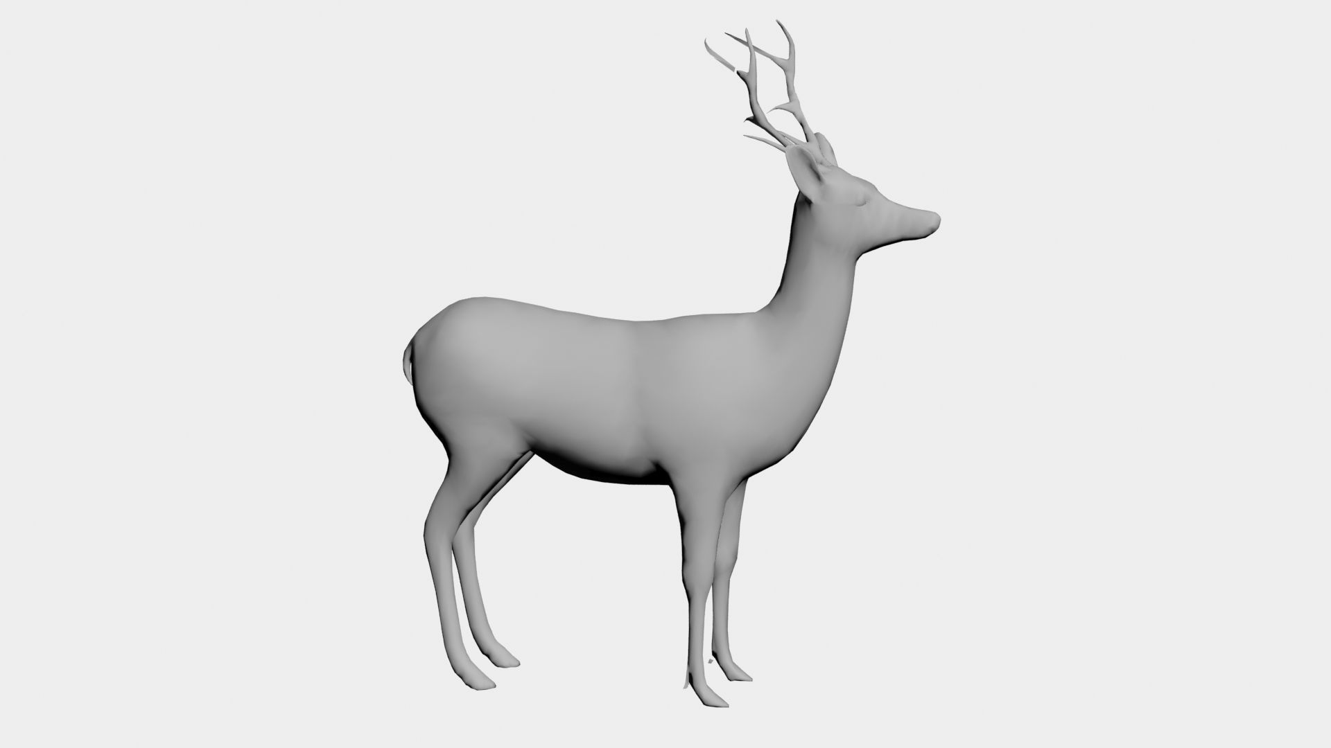 Deer-wild animals 3D model_2