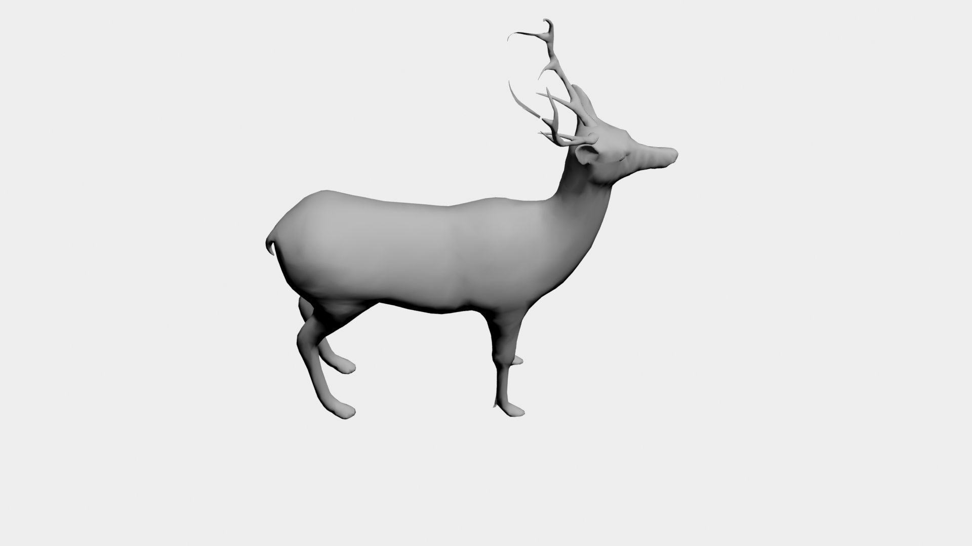 Deer-wild animals 3D model_5