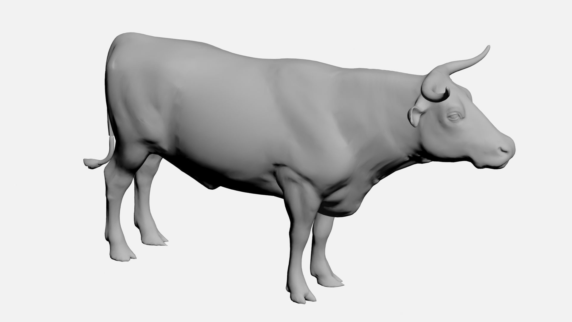 Ox-wild animals 3D model_1