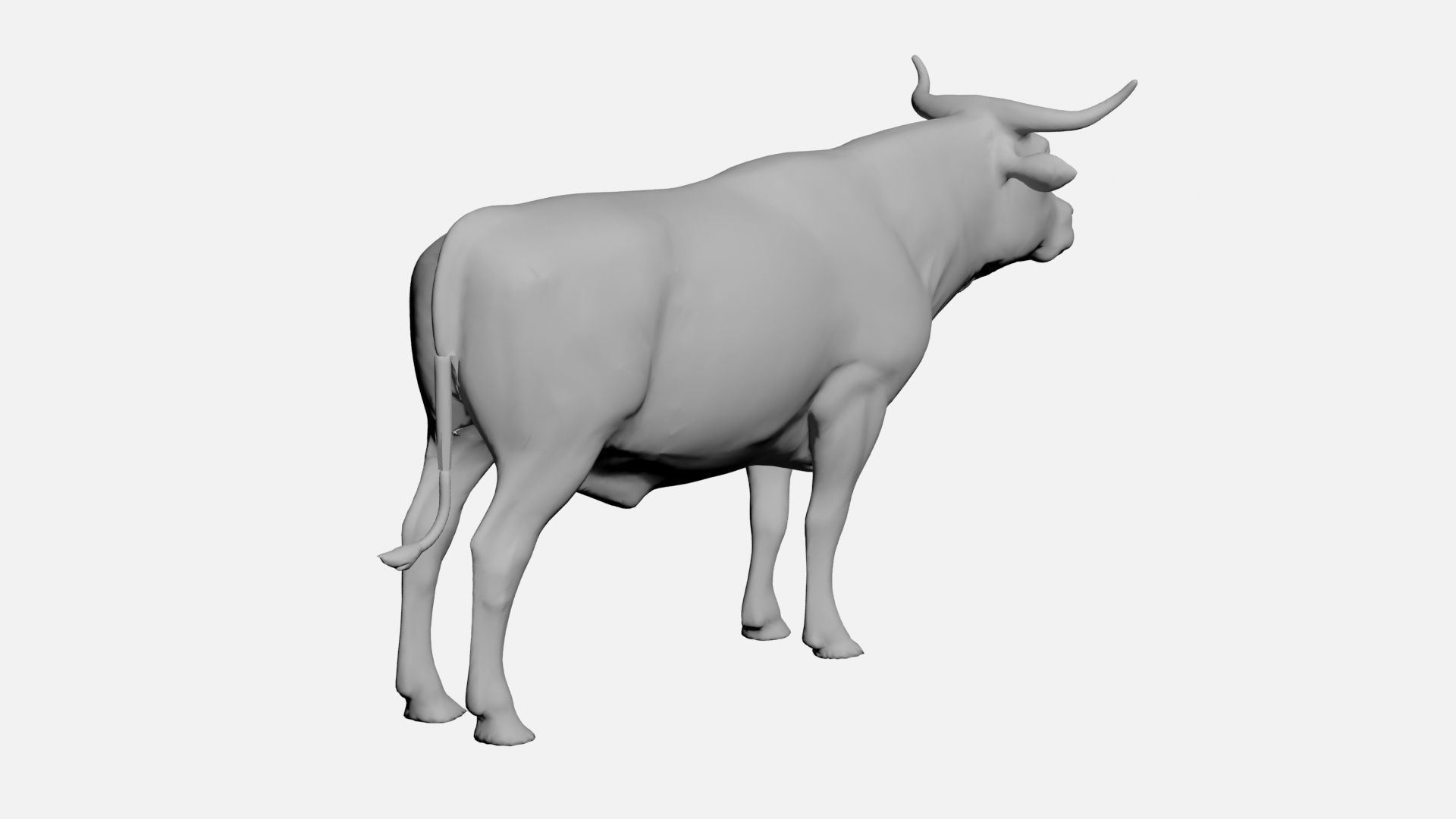 Ox-wild animals 3D model_2