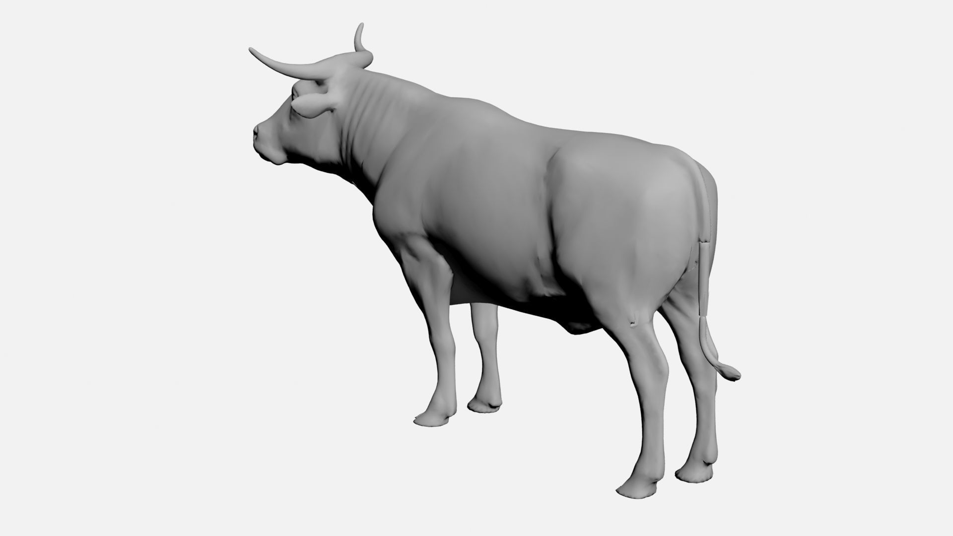Ox-wild animals 3D model_3