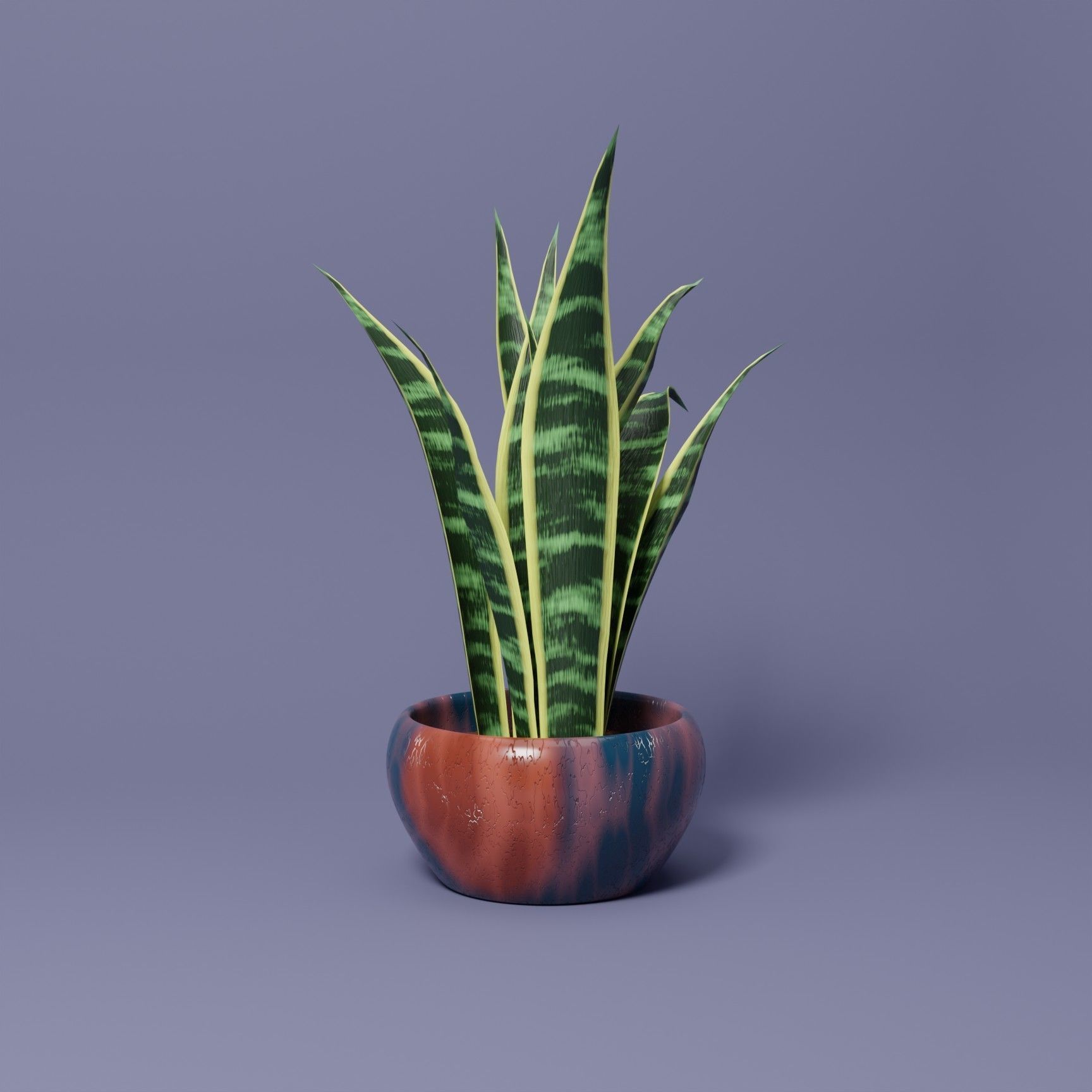 Snake Plant 3D model_2