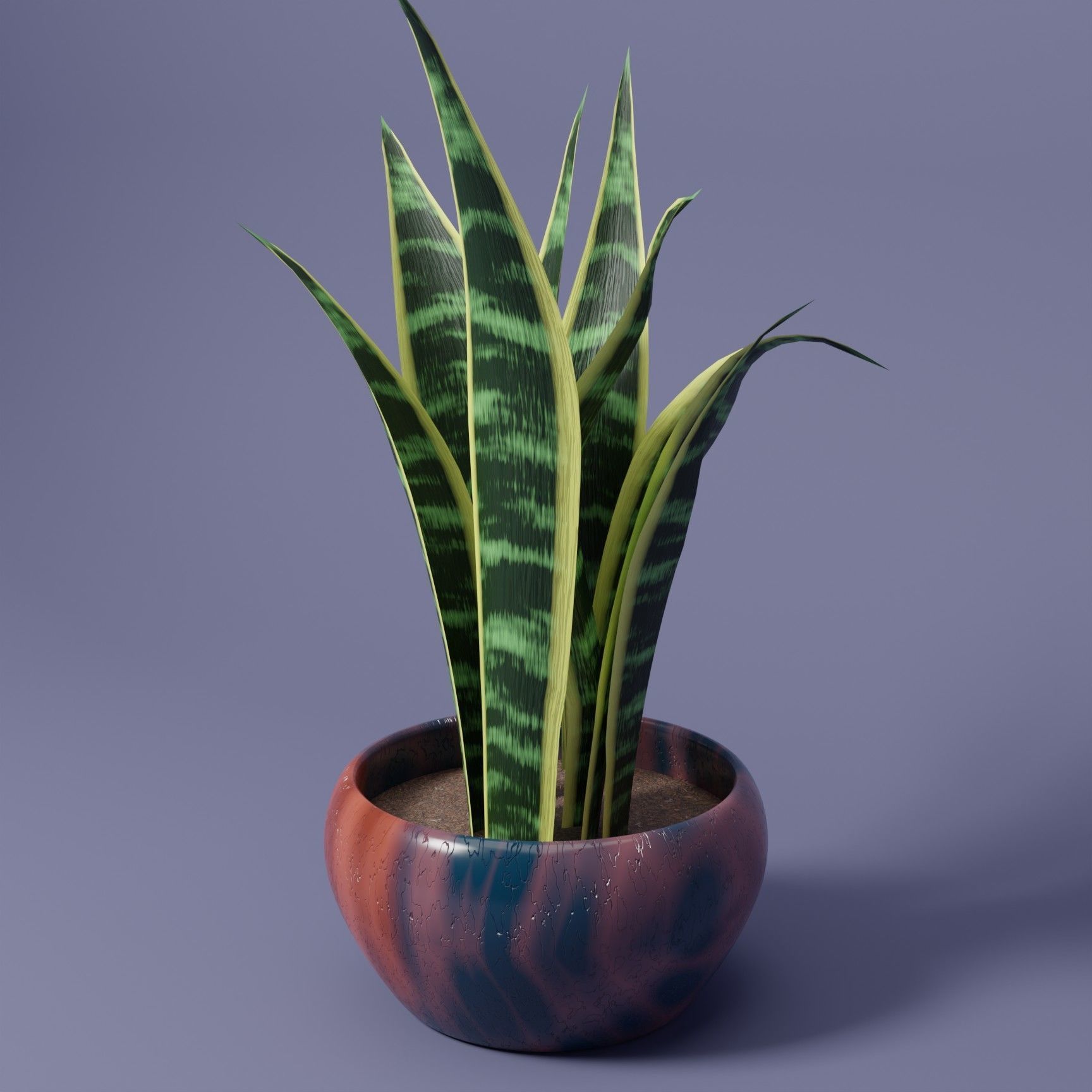 Snake Plant 3D model_4