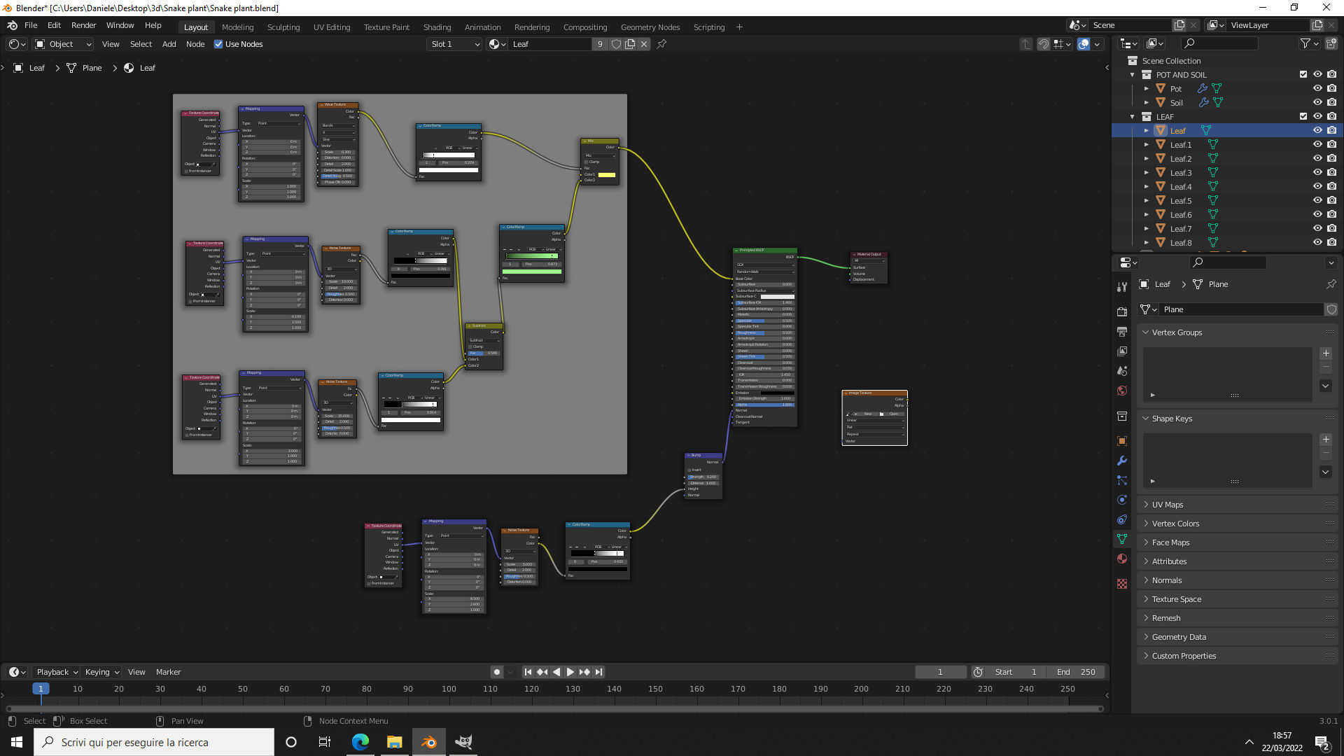 Snake Plant 3D model_7
