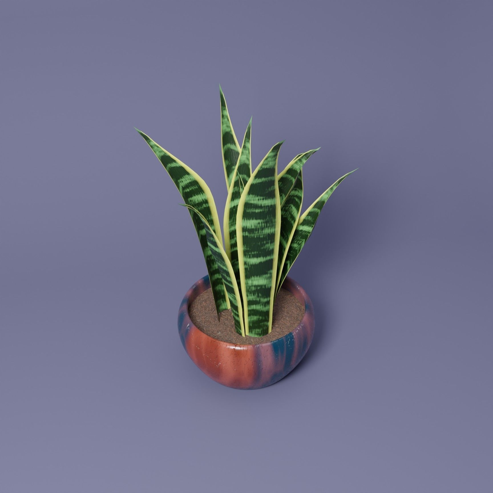Snake Plant 3D model_5