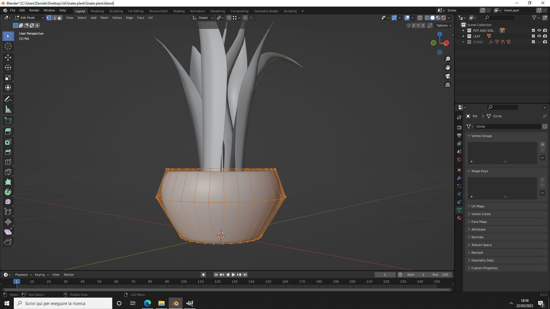 Snake Plant 3D model_9