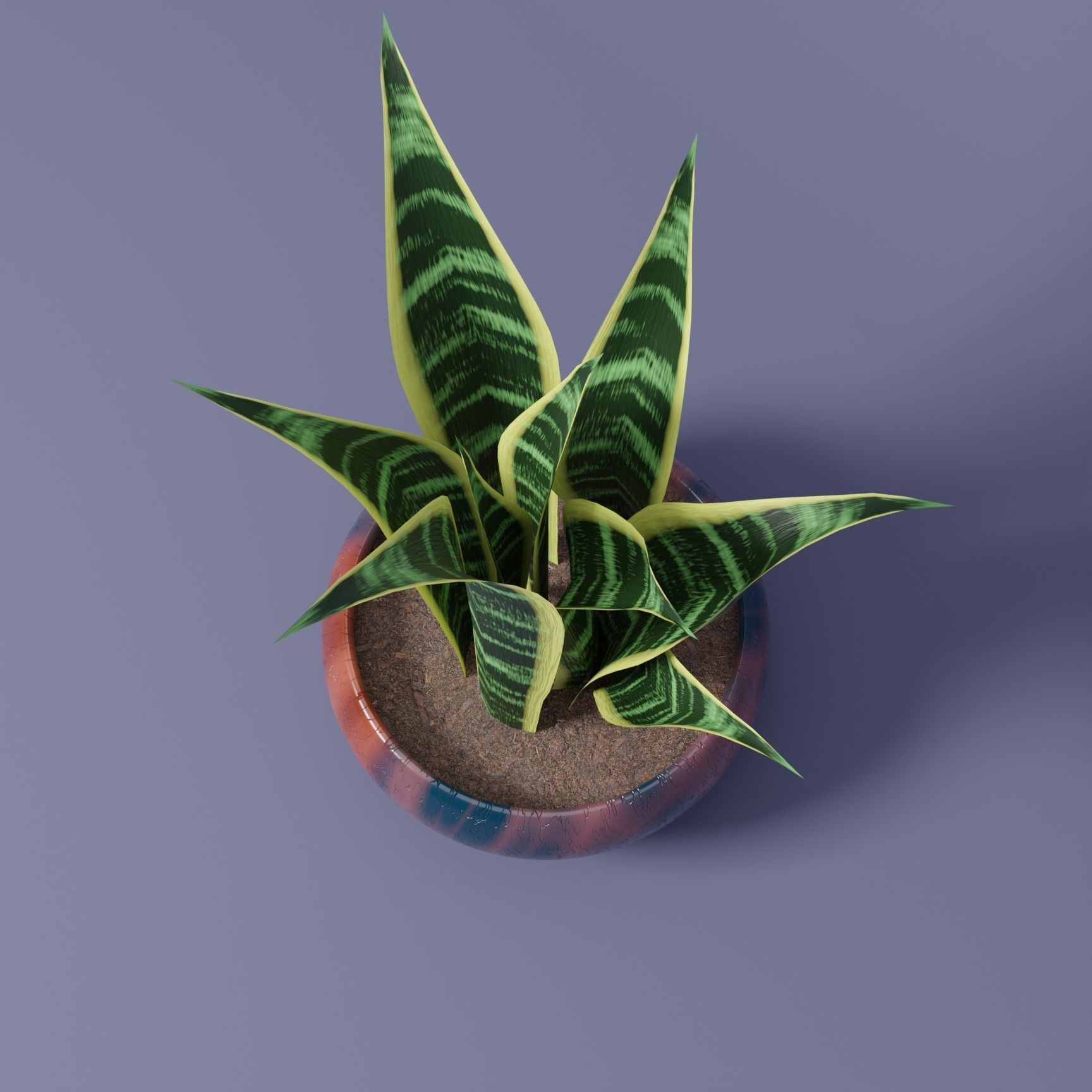 Snake Plant 3D model_3