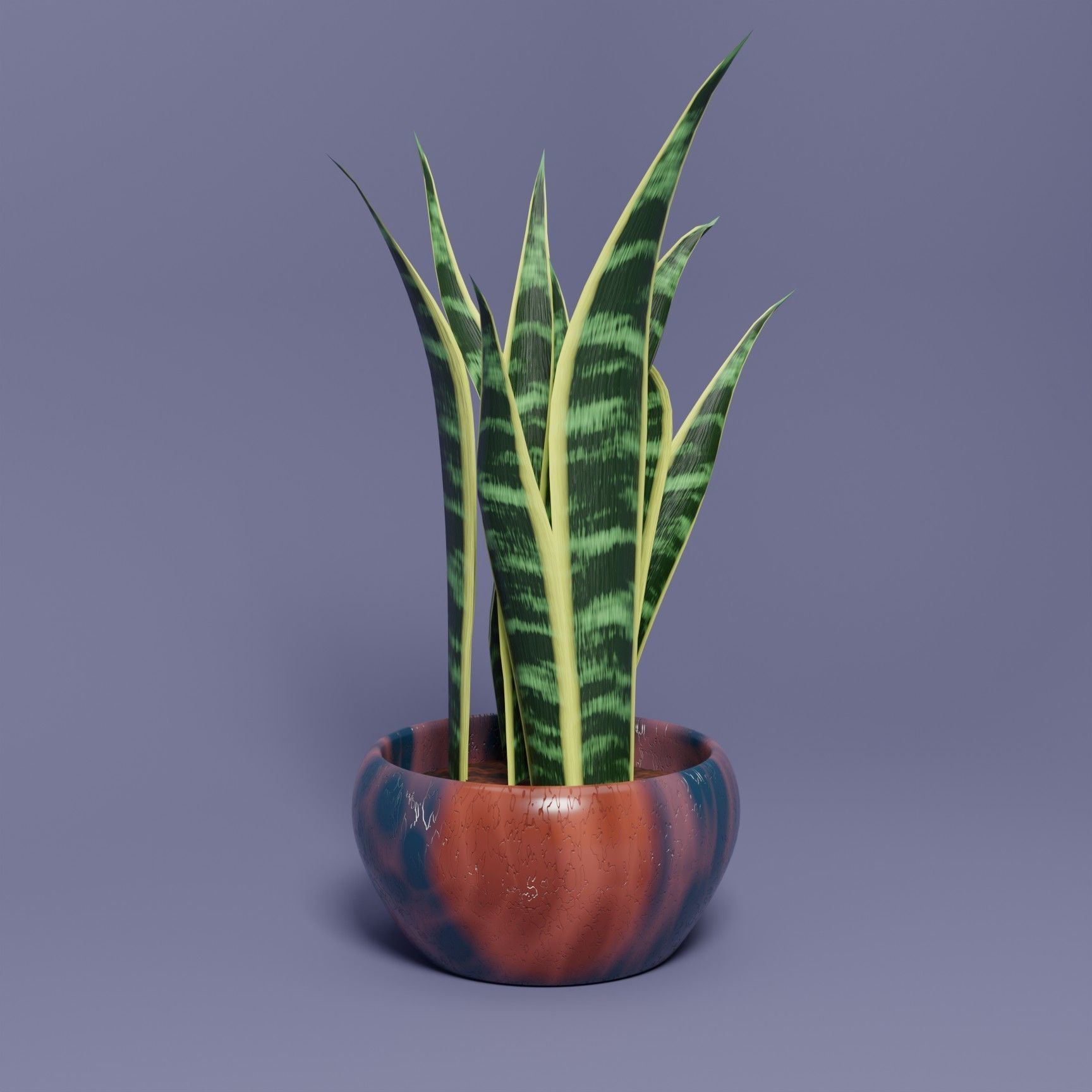 Snake Plant 3D model_1