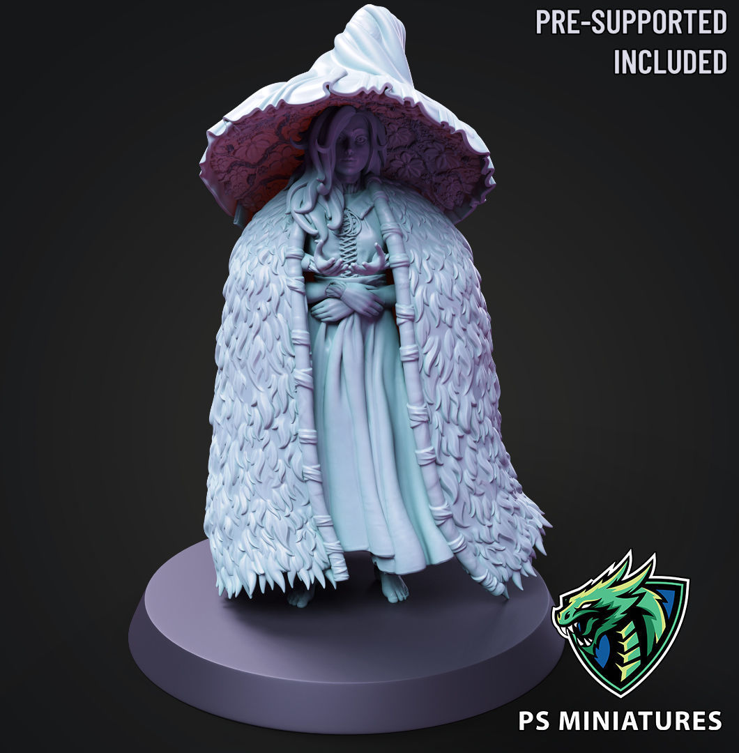 Fey Guide - 4 Variants and Pinup 3D print model_20