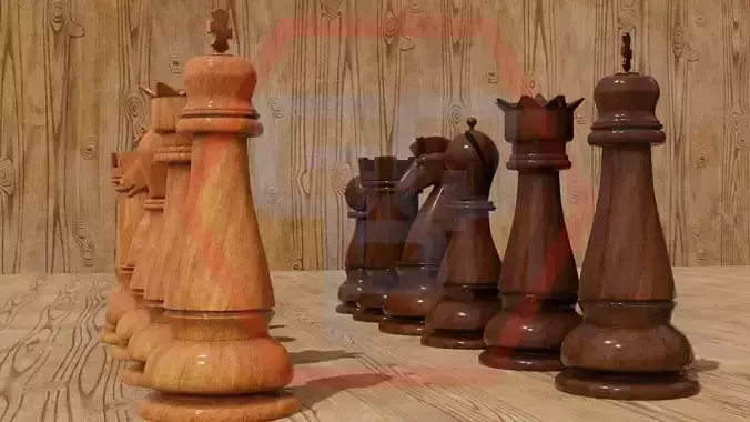 Chess wooden pieces