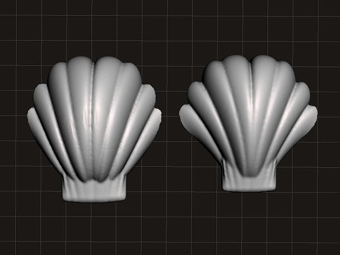 shell from the beach II 3D print model