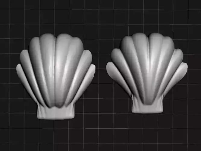 shell from the beach II 3D print model