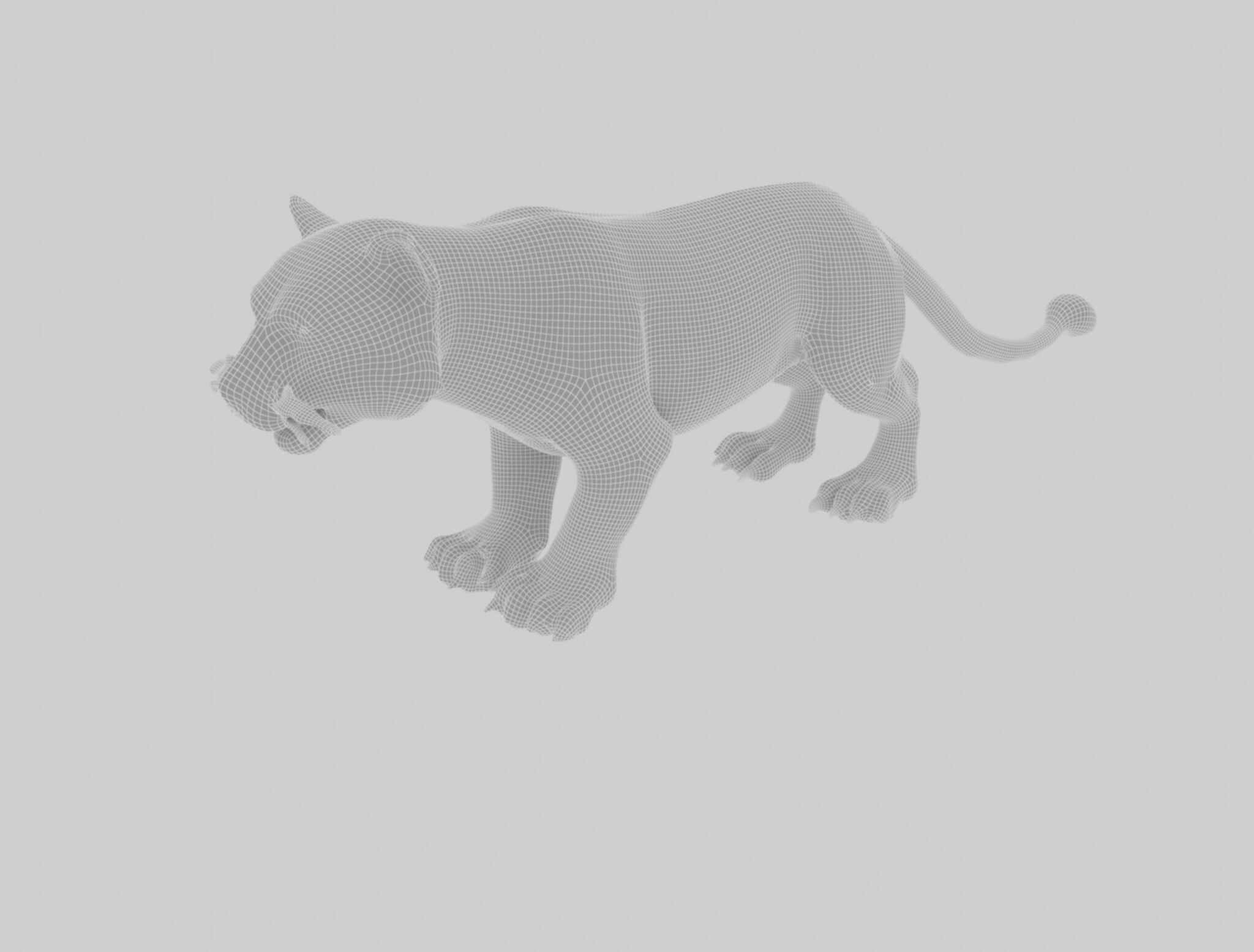 Bengal Tiger 3D Model  3D model_5