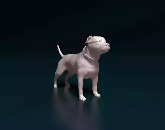 Staffordshire bull terrier