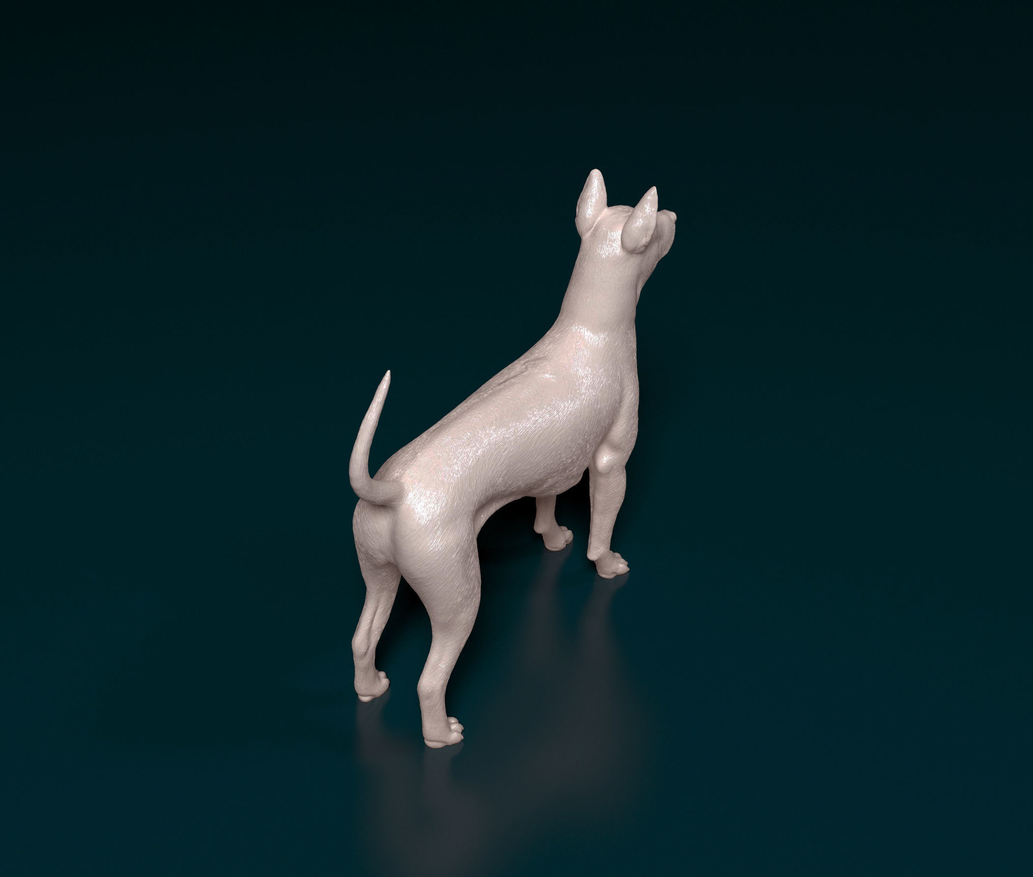 Thai Ridgeback 3D print model_3