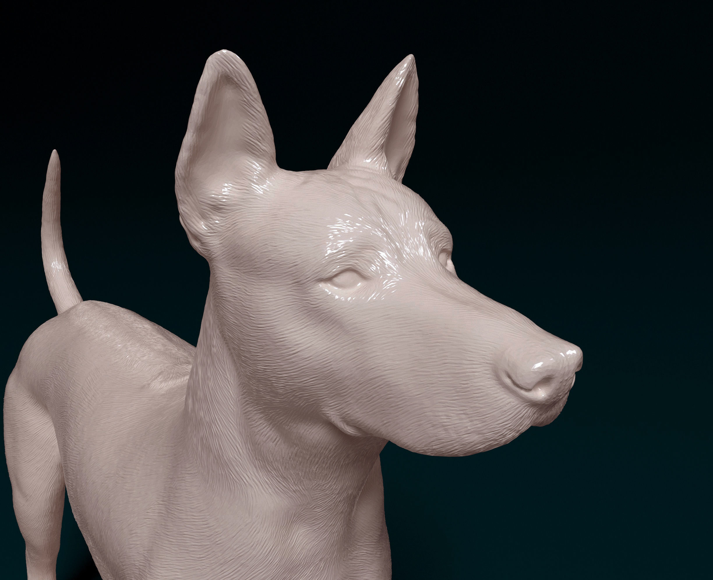 Thai Ridgeback 3D print model_6