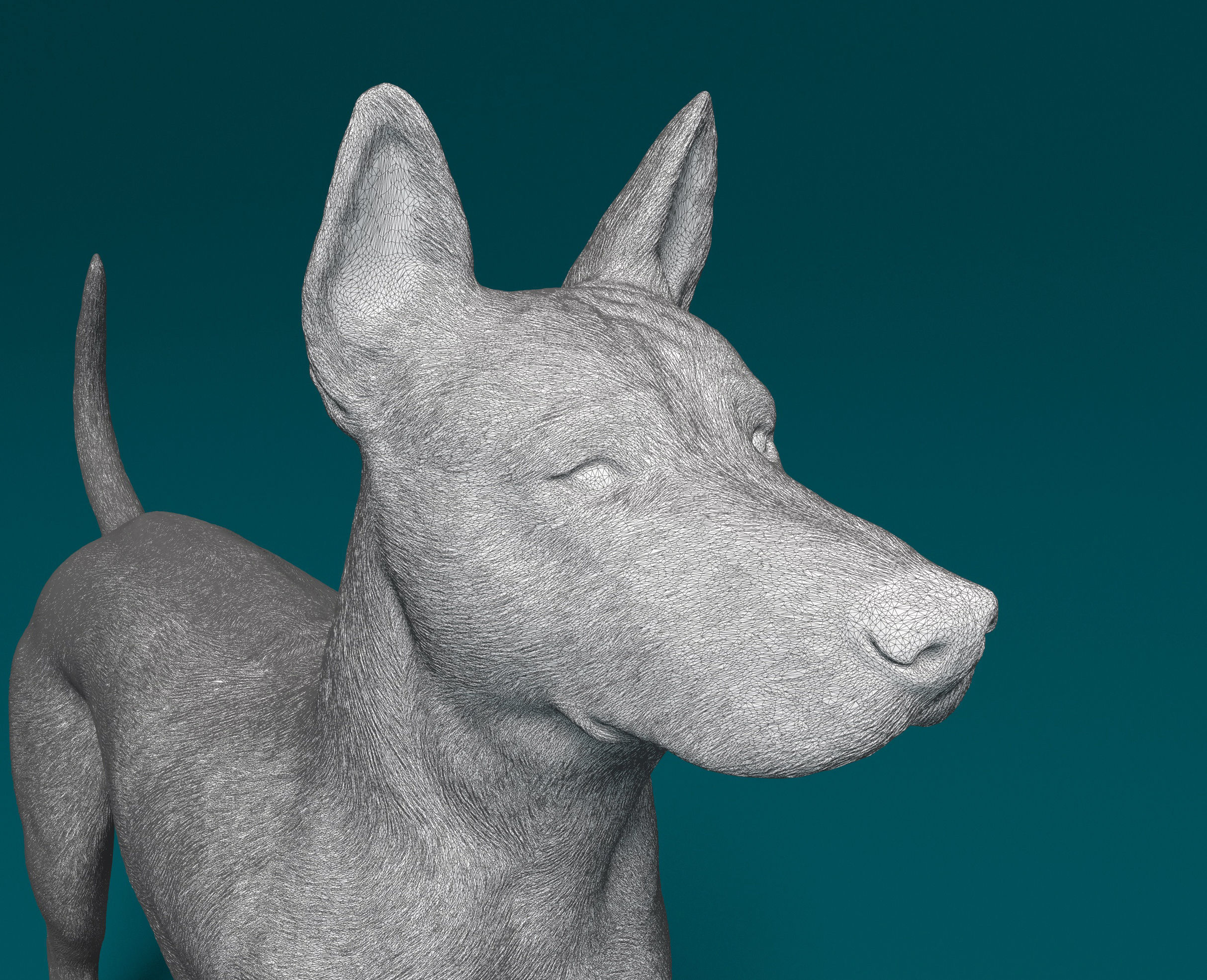 Thai Ridgeback 3D print model_7