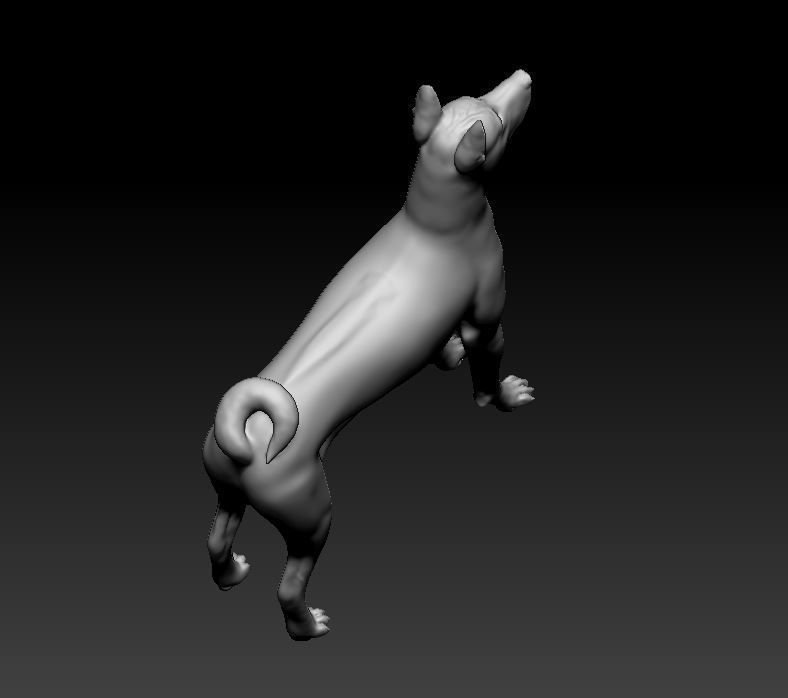 Thai Ridgeback 3D print model_5