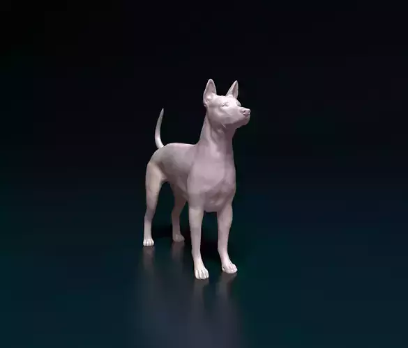 Thai Ridgeback