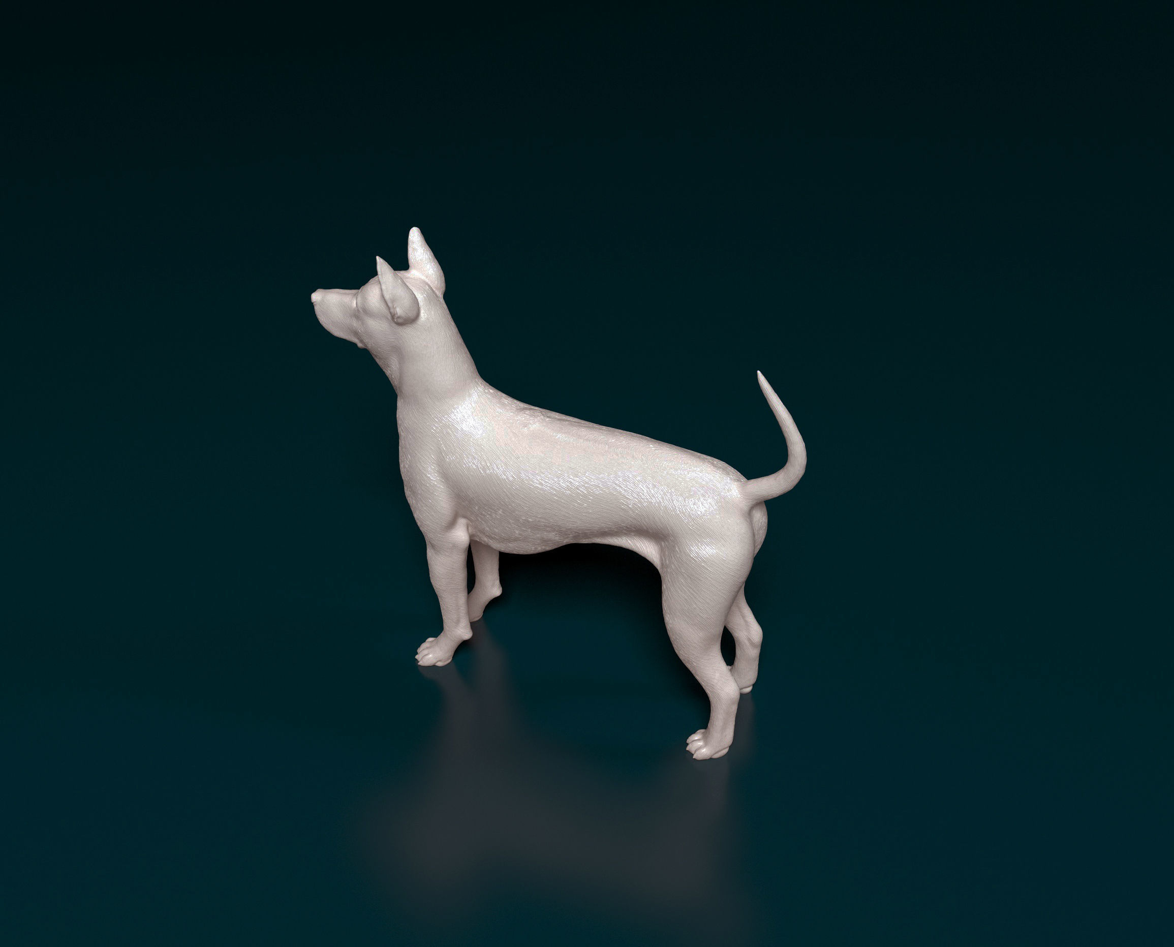 Thai Ridgeback 3D print model_2